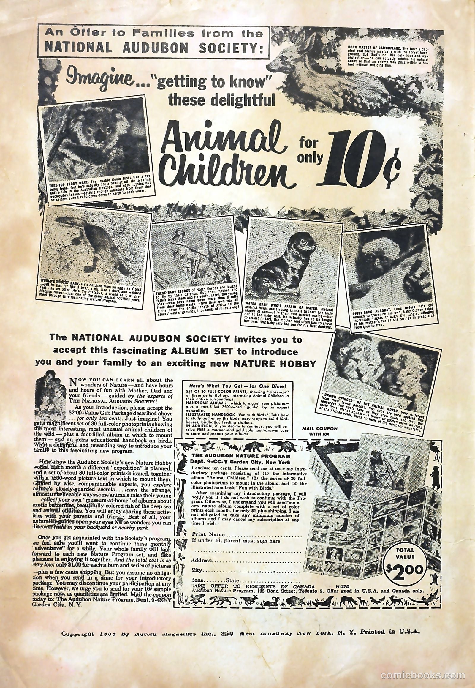 Cosmo Cat #4 — page 2 of 36