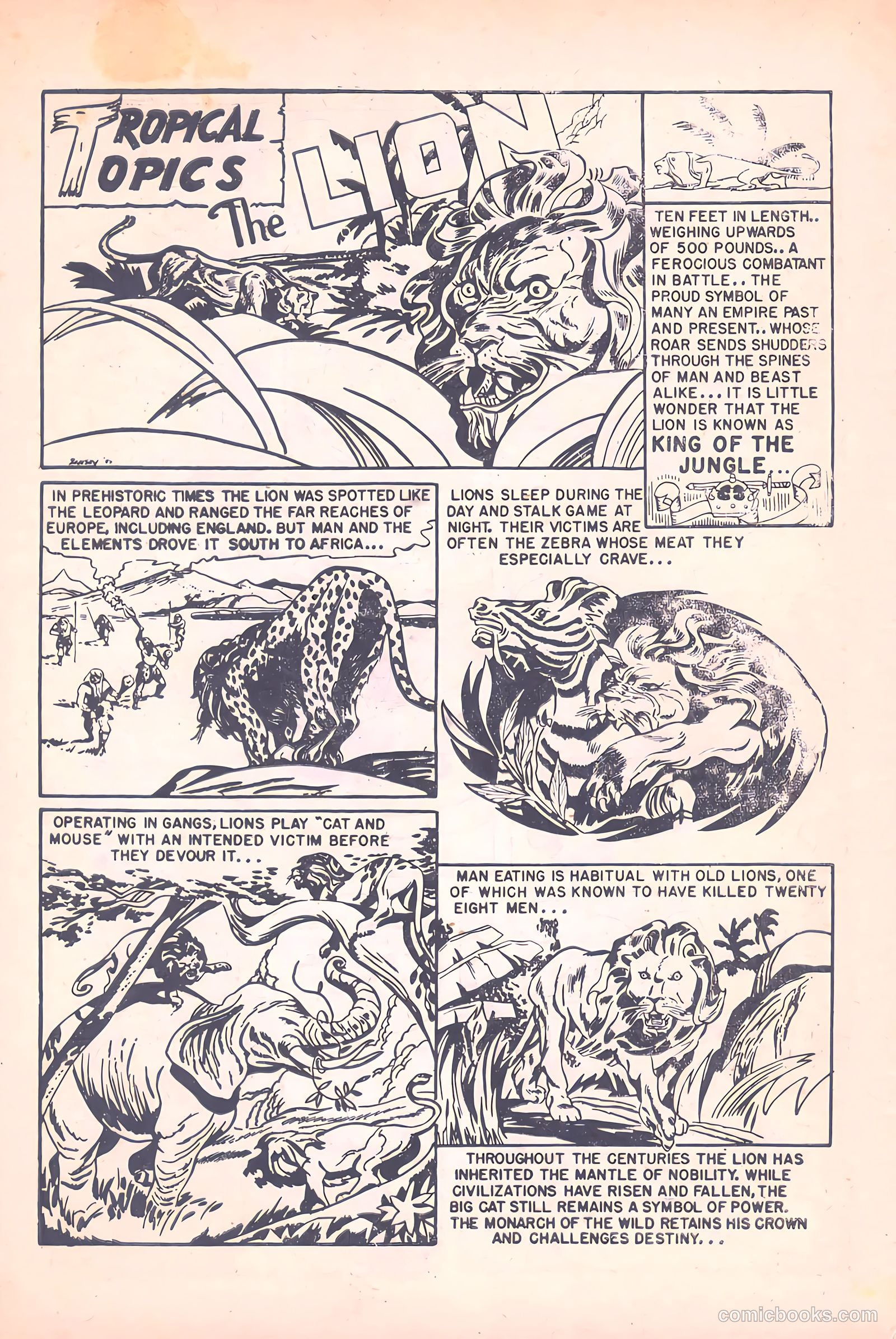 Cosmo Cat #4 — page 34 of 36