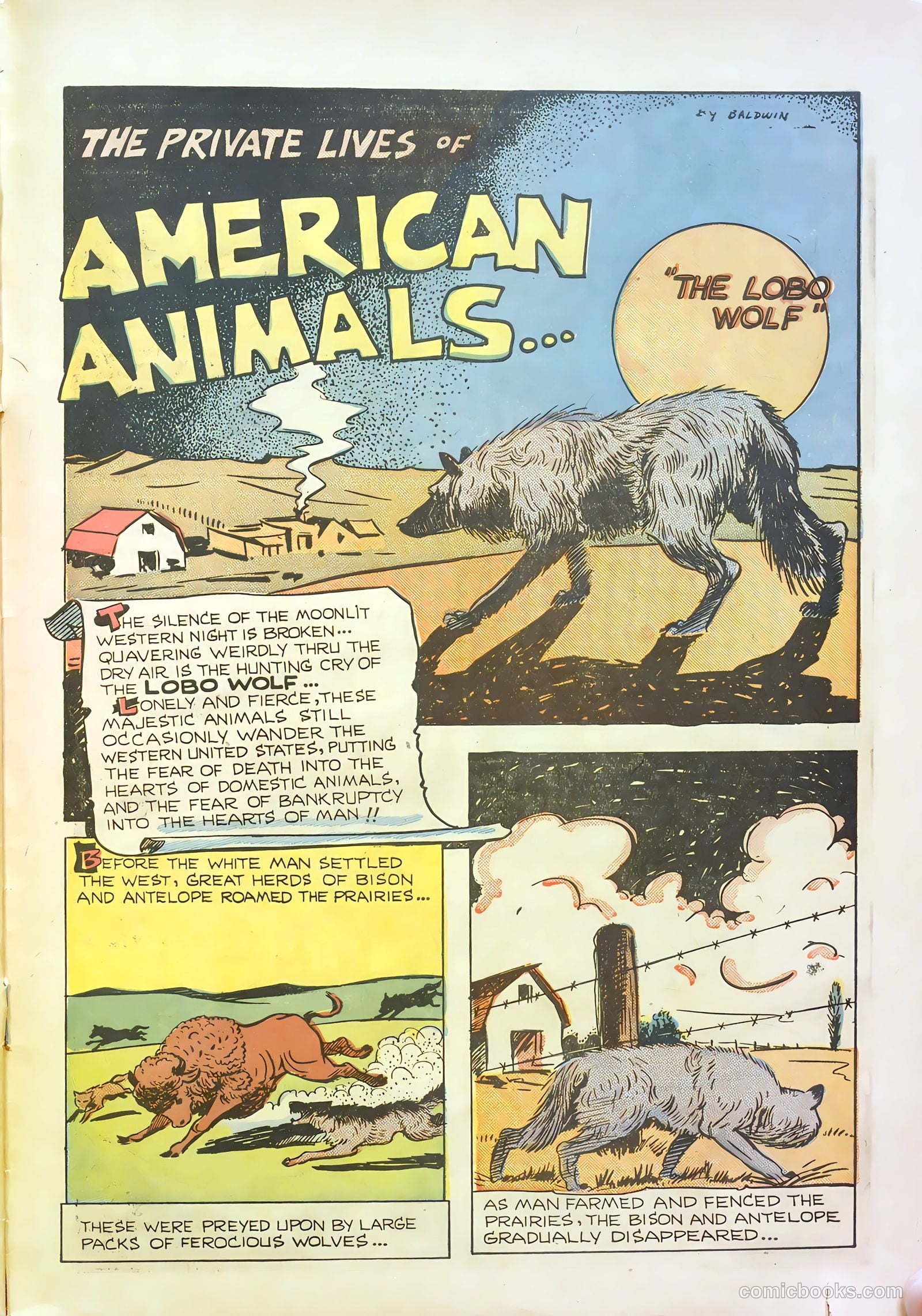 Cosmo Cat #5 — page 29 of 36