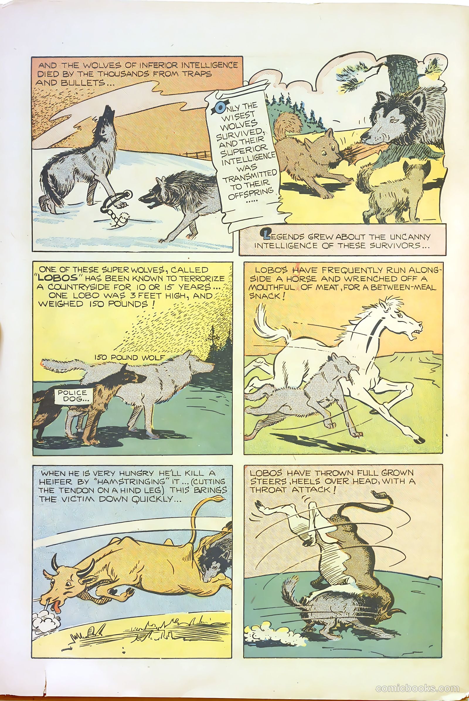 Cosmo Cat #5 — page 30 of 36