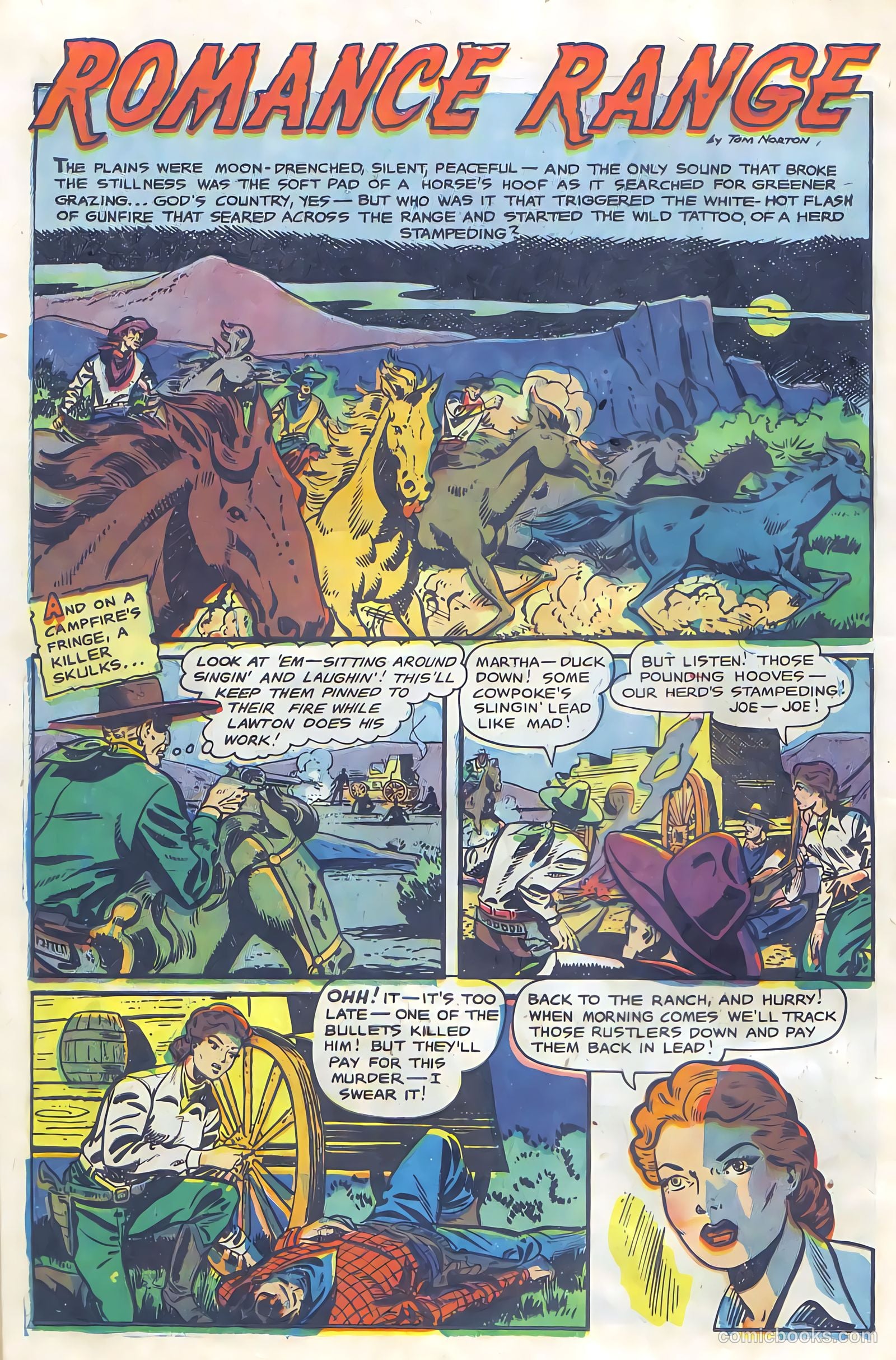Cowgirl Romances #6 — page 14 of 36