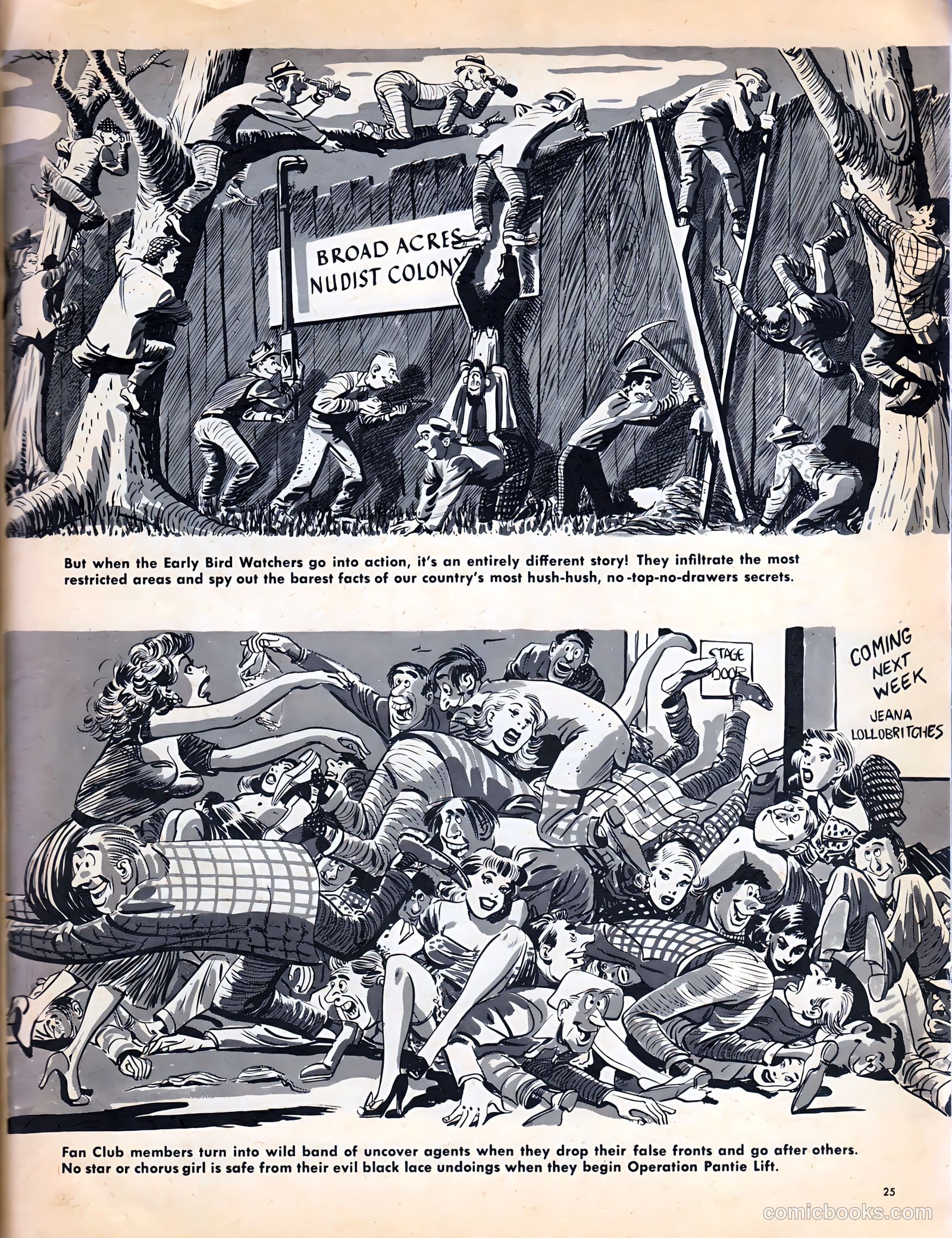 Crazy, Man, Crazy #2 — page 25 of 68