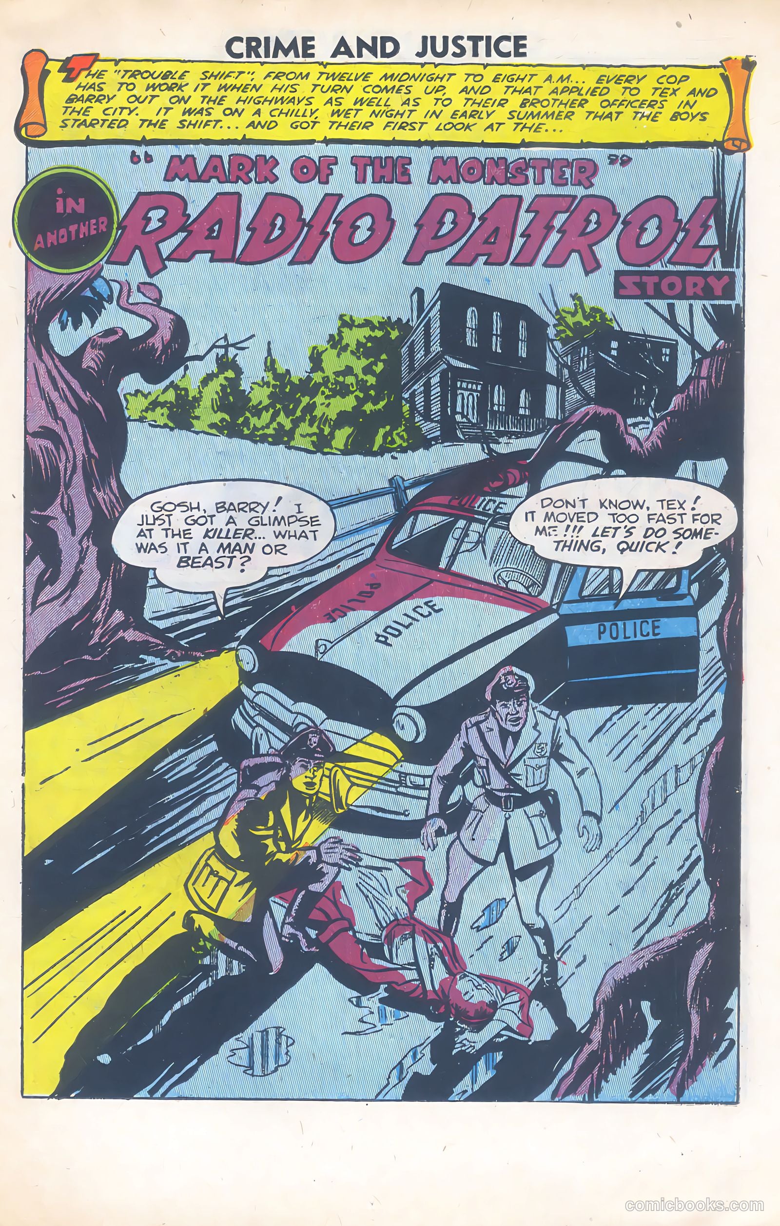 Crime and Justice #10 — page 11 of 36