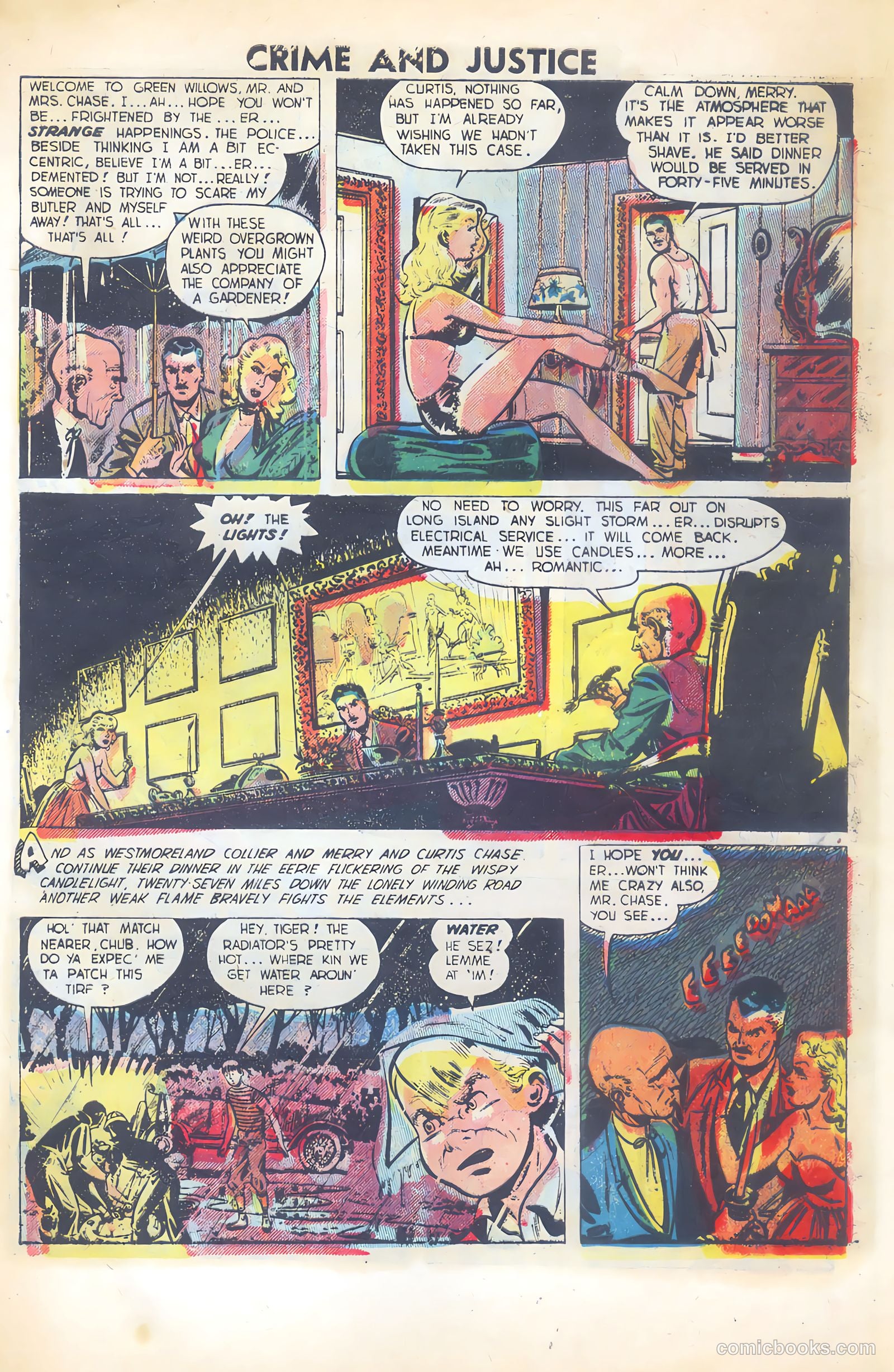 Crime and Justice #11 — page 5 of 36