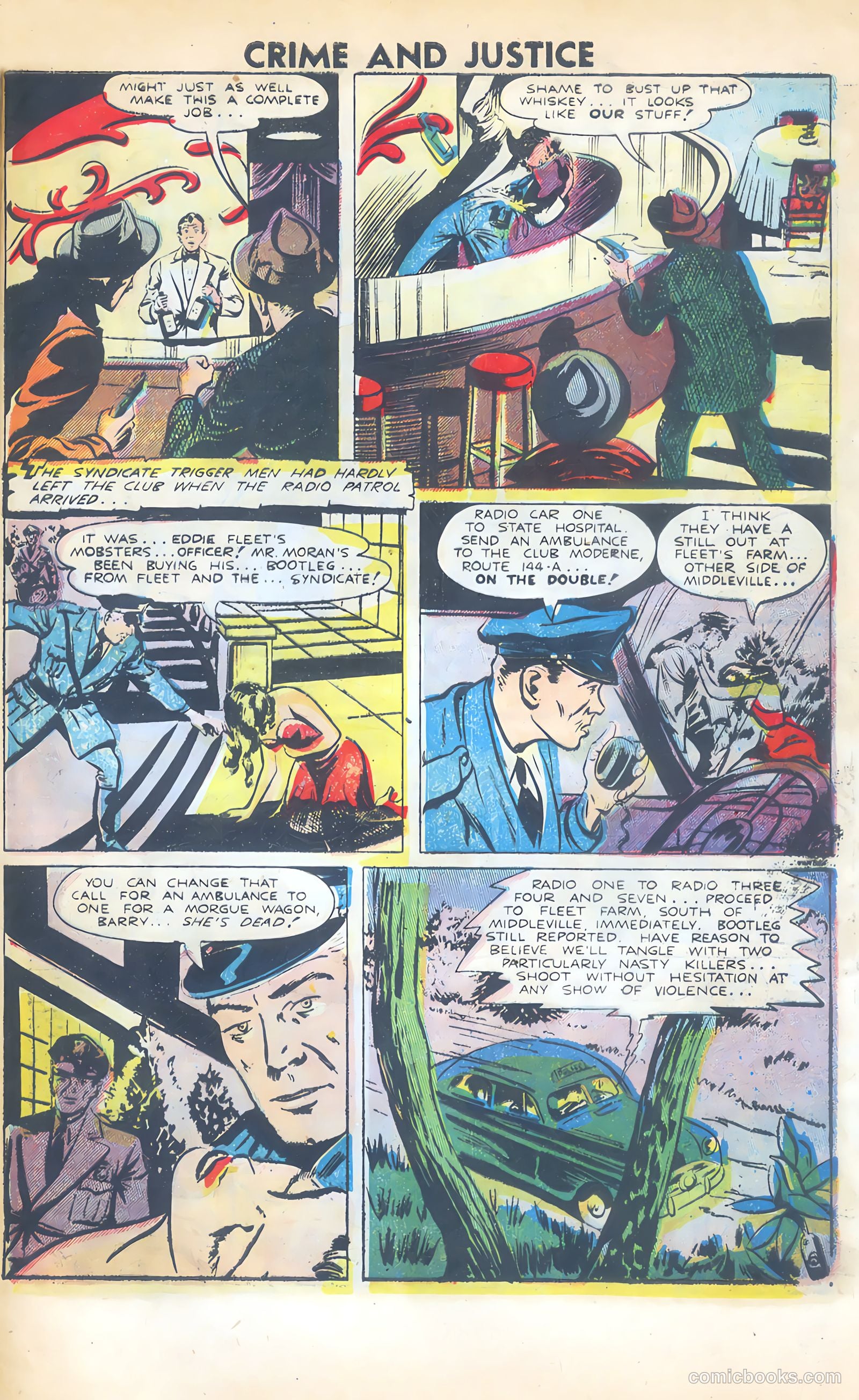 Crime and Justice #11 — page 33 of 36
