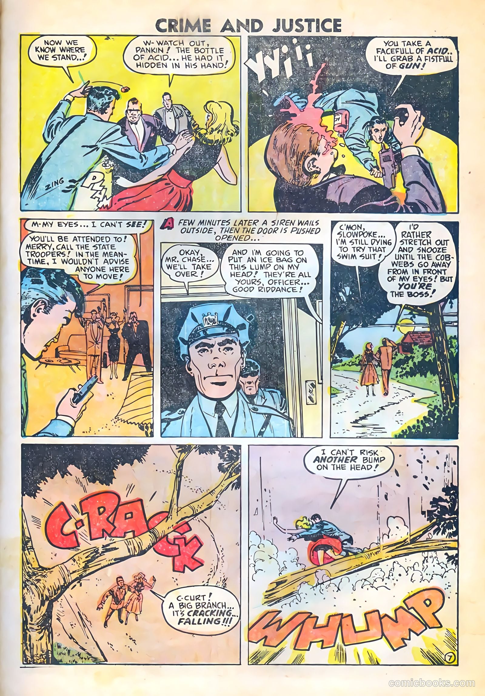 Crime and Justice #15 — page 9 of 36