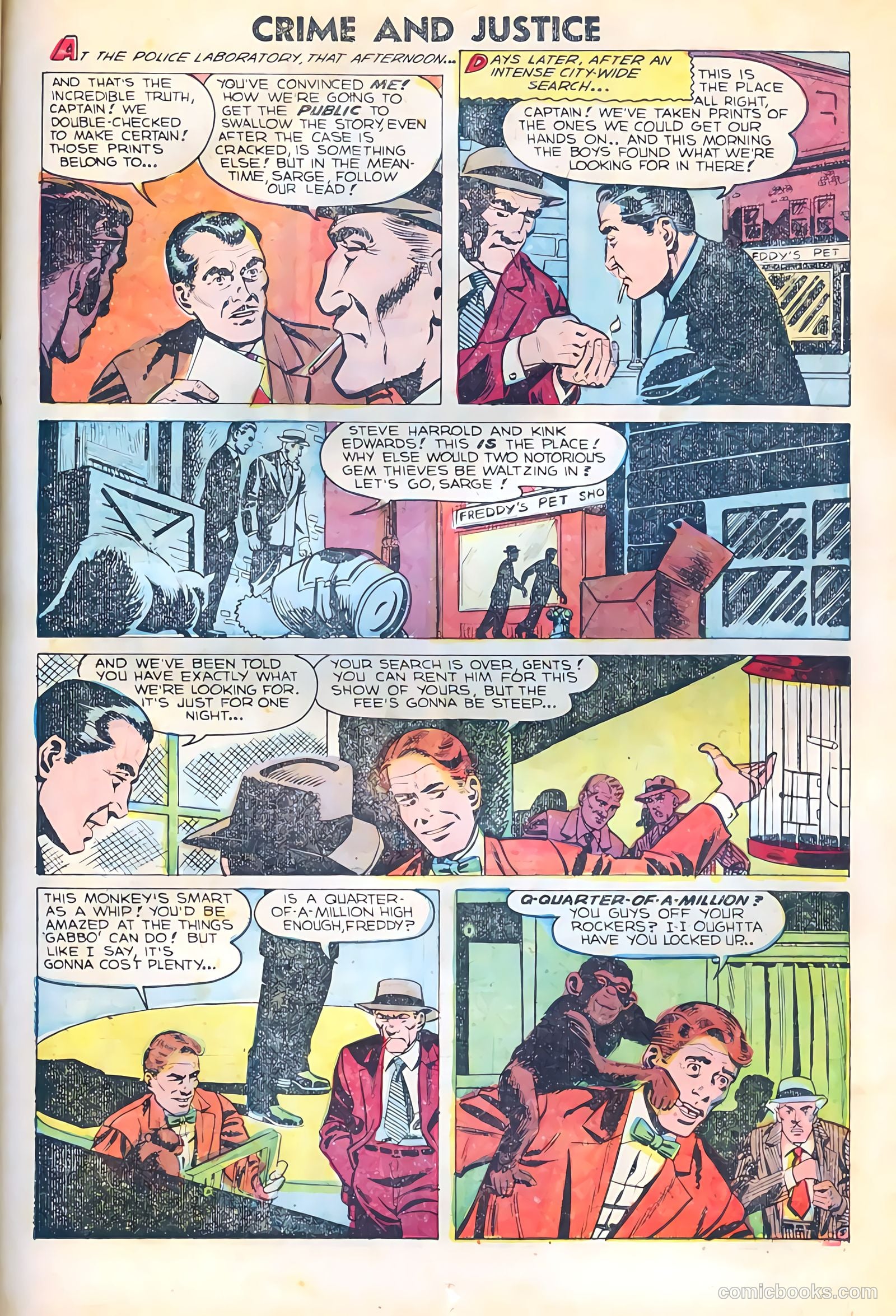 Crime and Justice #15 — page 15 of 36