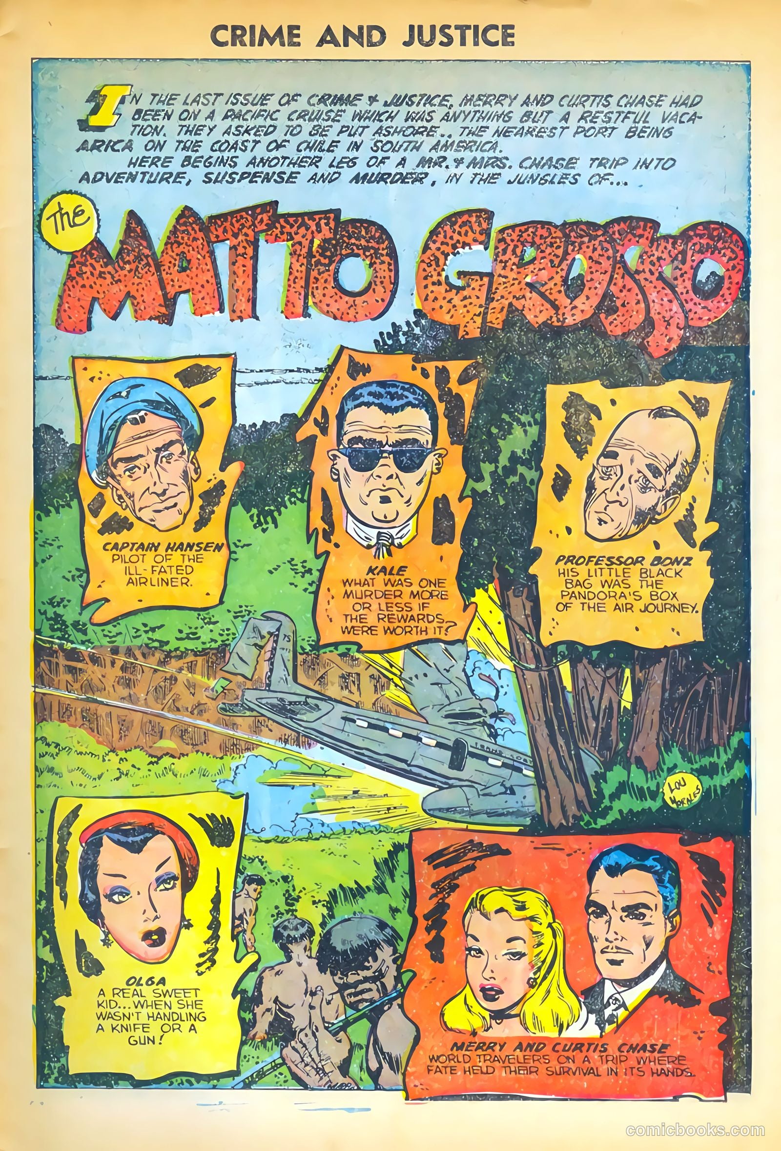 Crime and Justice #17 — page 3 of 36