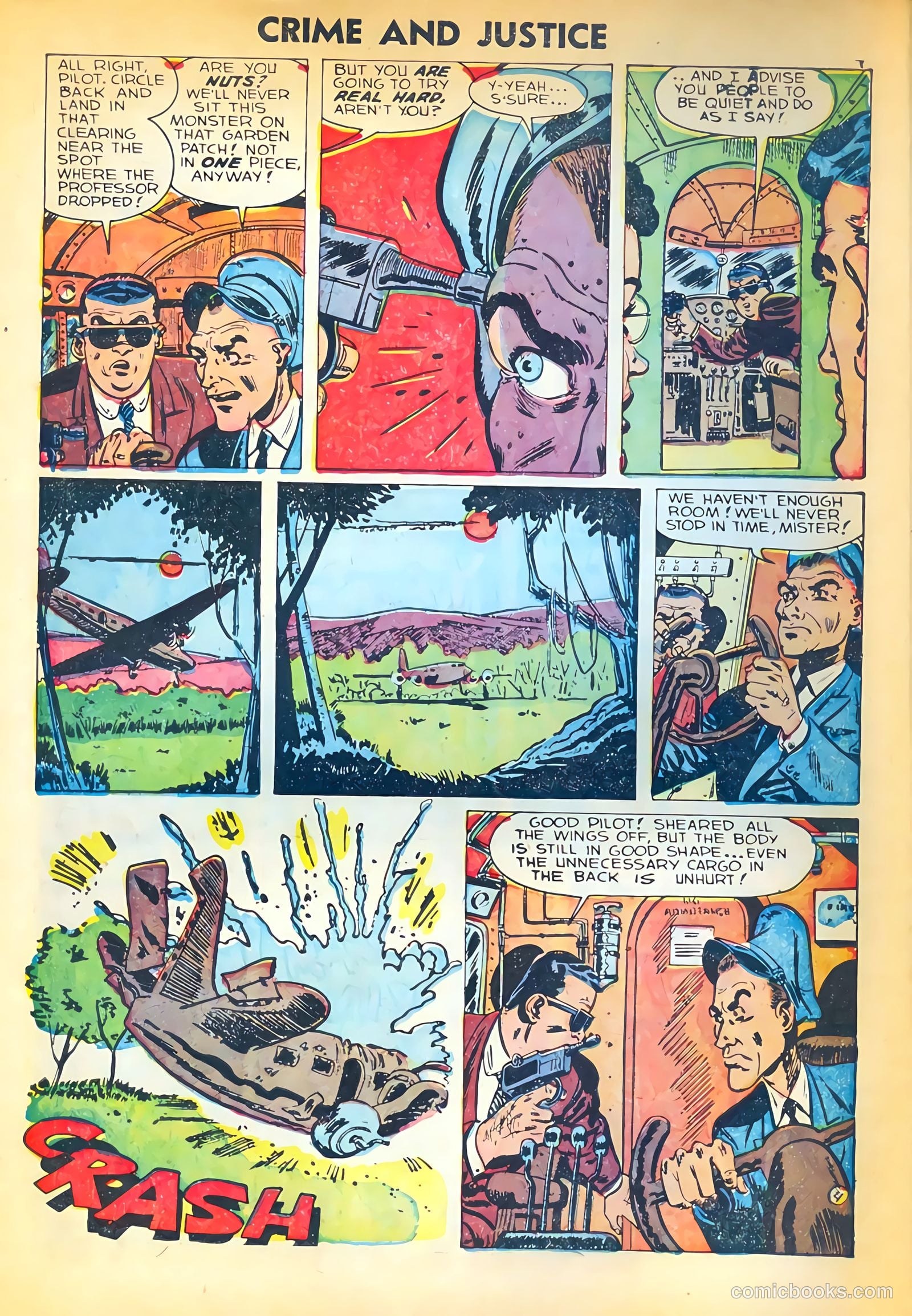 Crime and Justice #17 — page 6 of 36