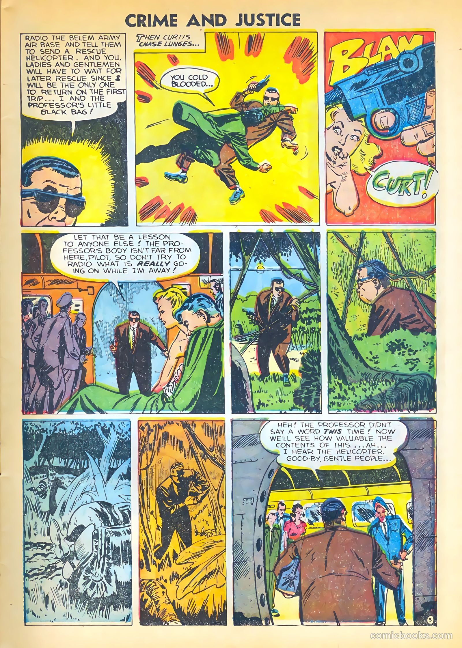Crime and Justice #17 — page 7 of 36