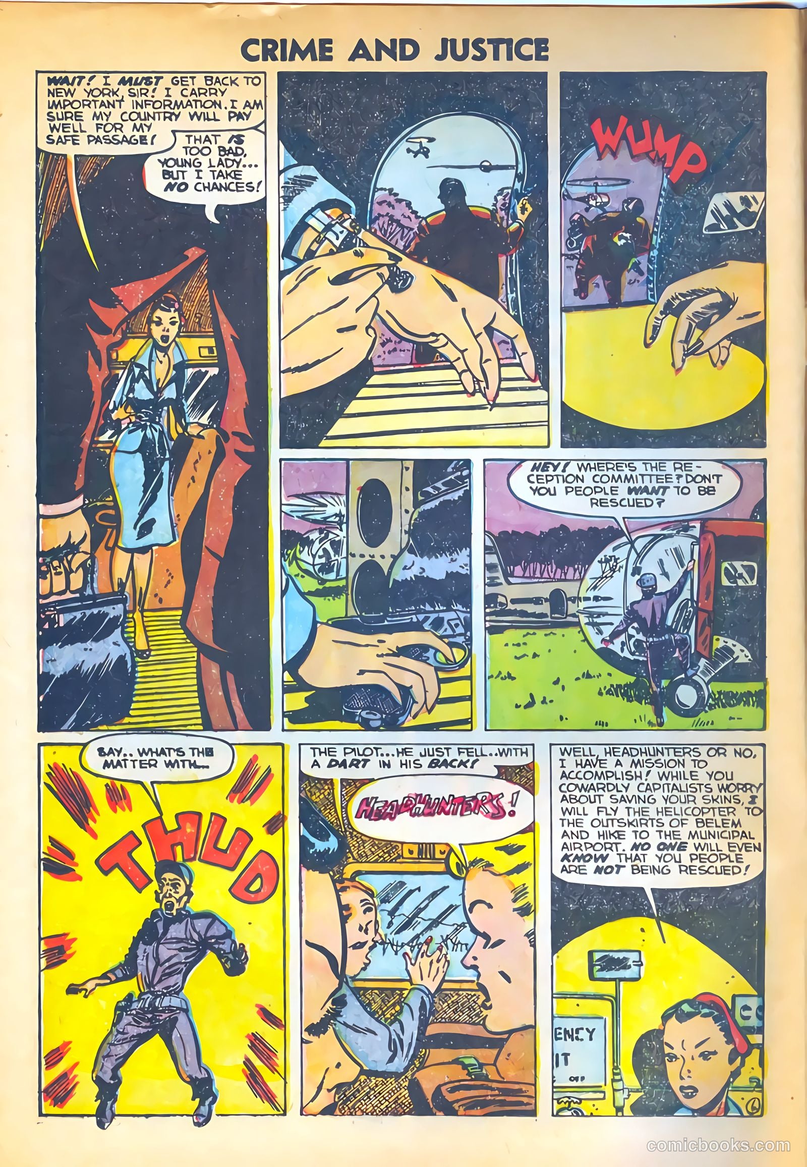 Crime and Justice #17 — page 8 of 36