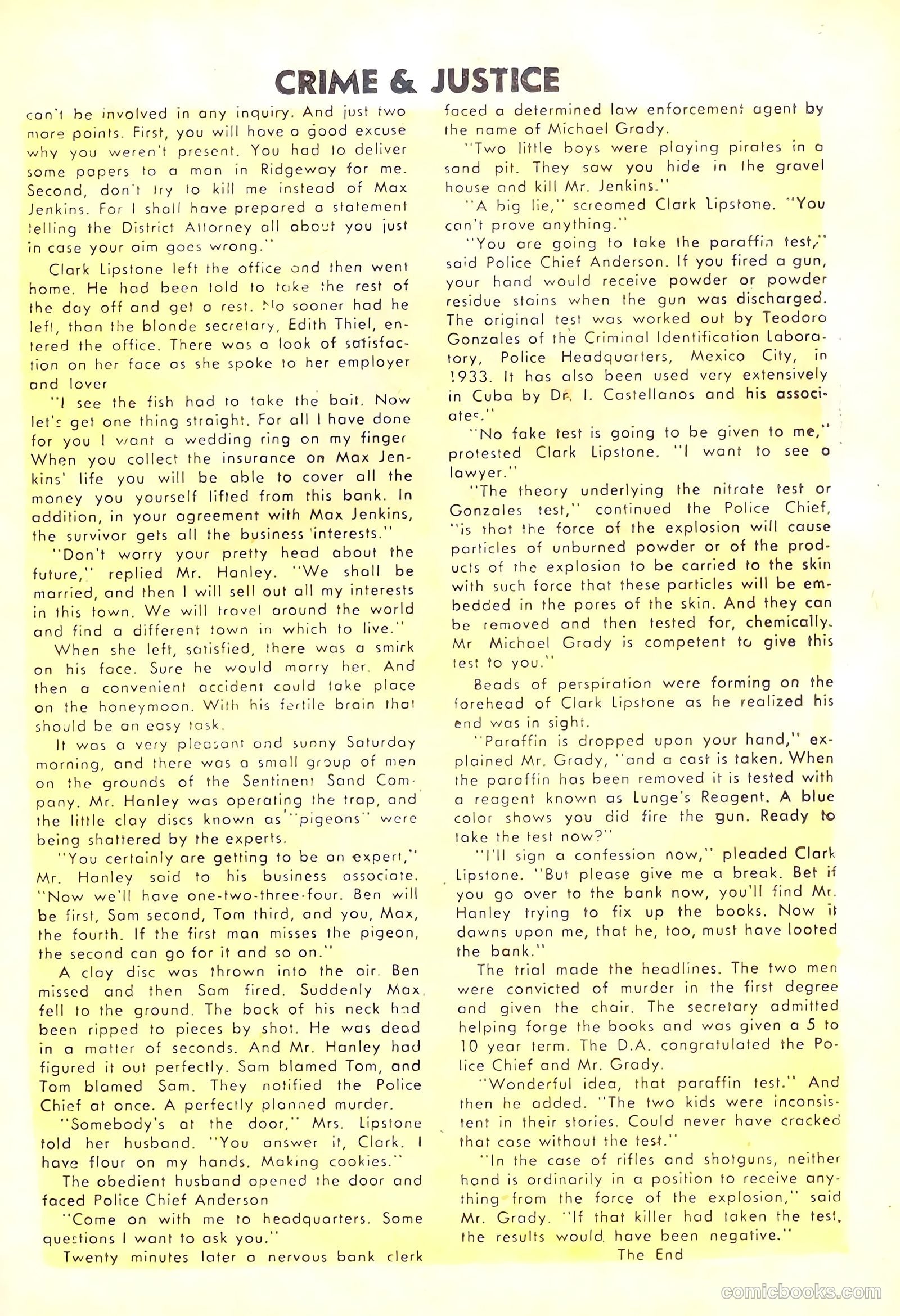 Crime and Justice #20 — page 21 of 36