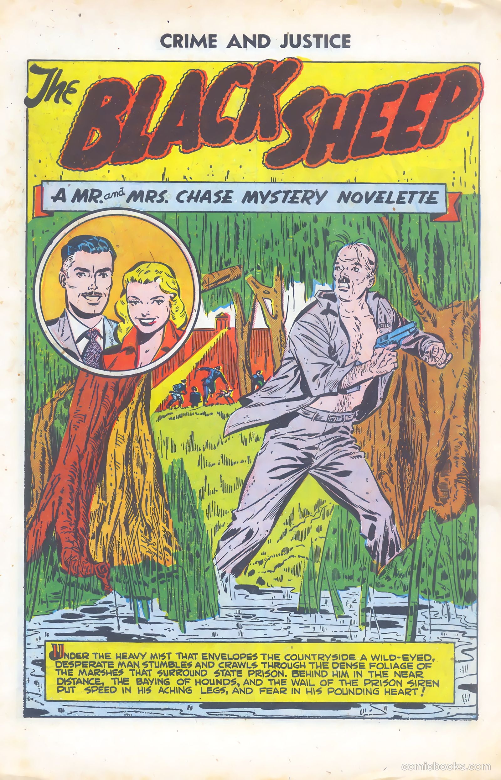 Crime and Justice #5 — page 3 of 36