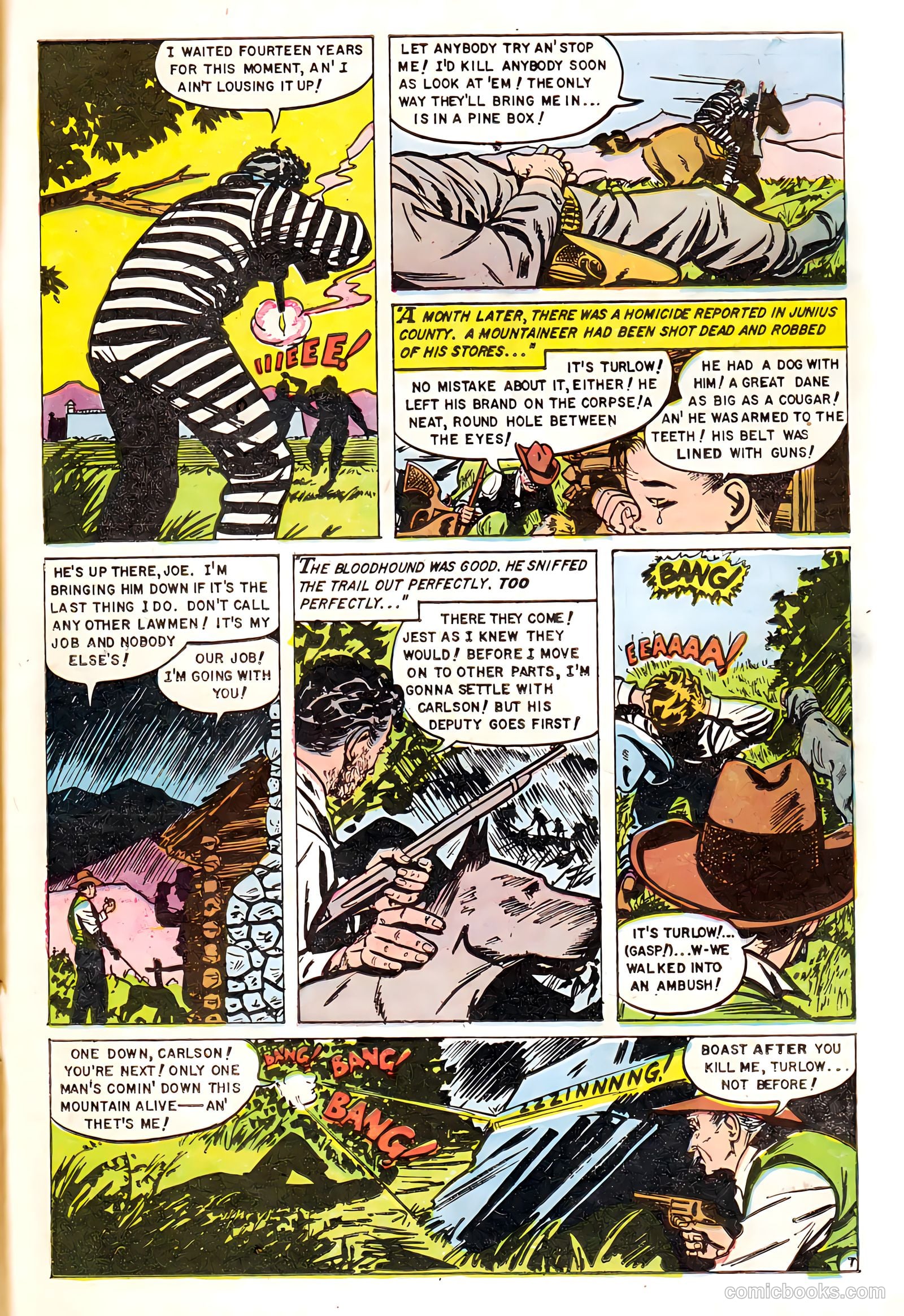 Crime Must Pay the Penalty #39 — page 23 of 36