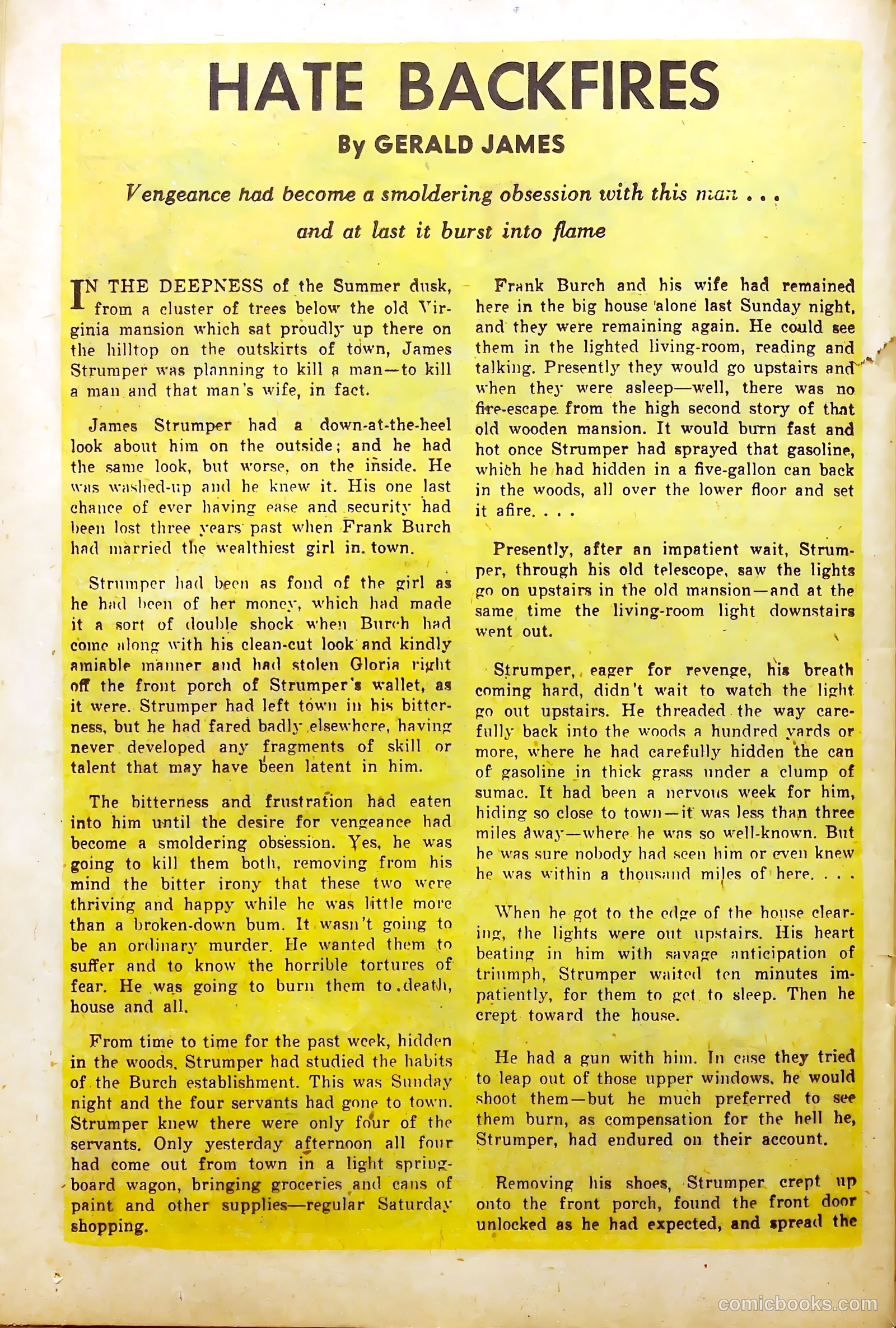 Crime Mysteries #1 — page 25 of 37
