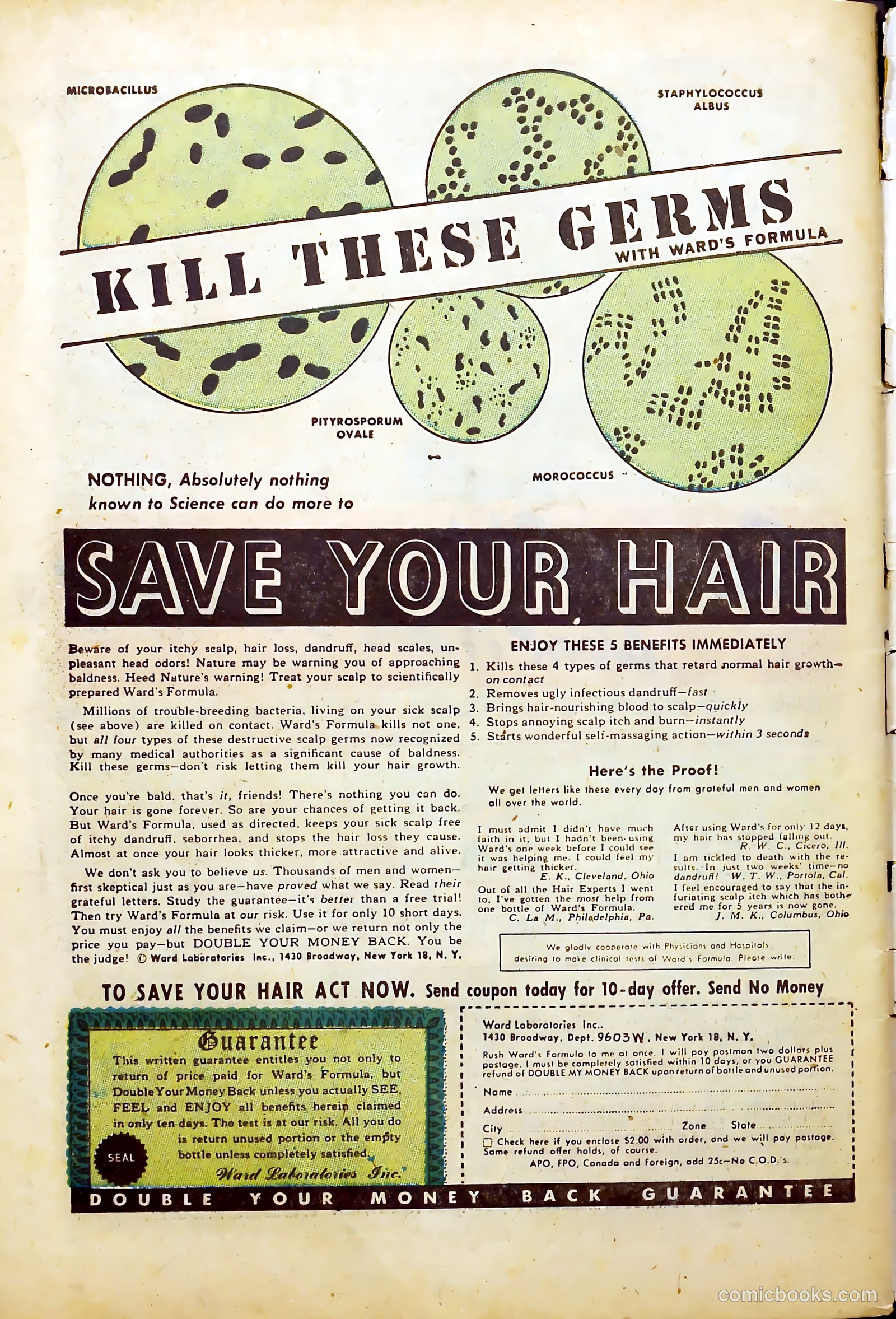 Crime Mysteries #1 — page 35 of 37