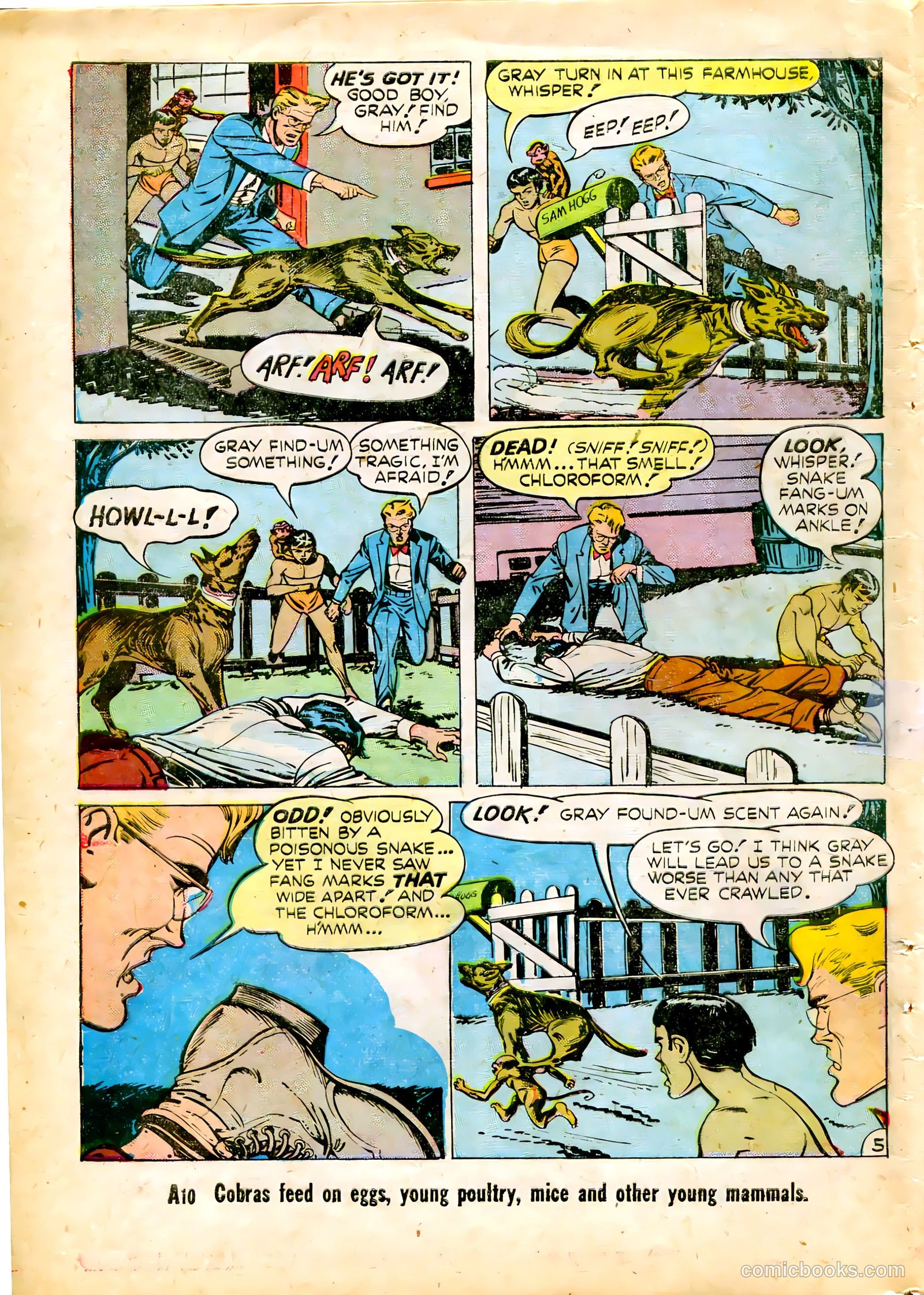 Criminals on the Run #5 — page 30 of 36