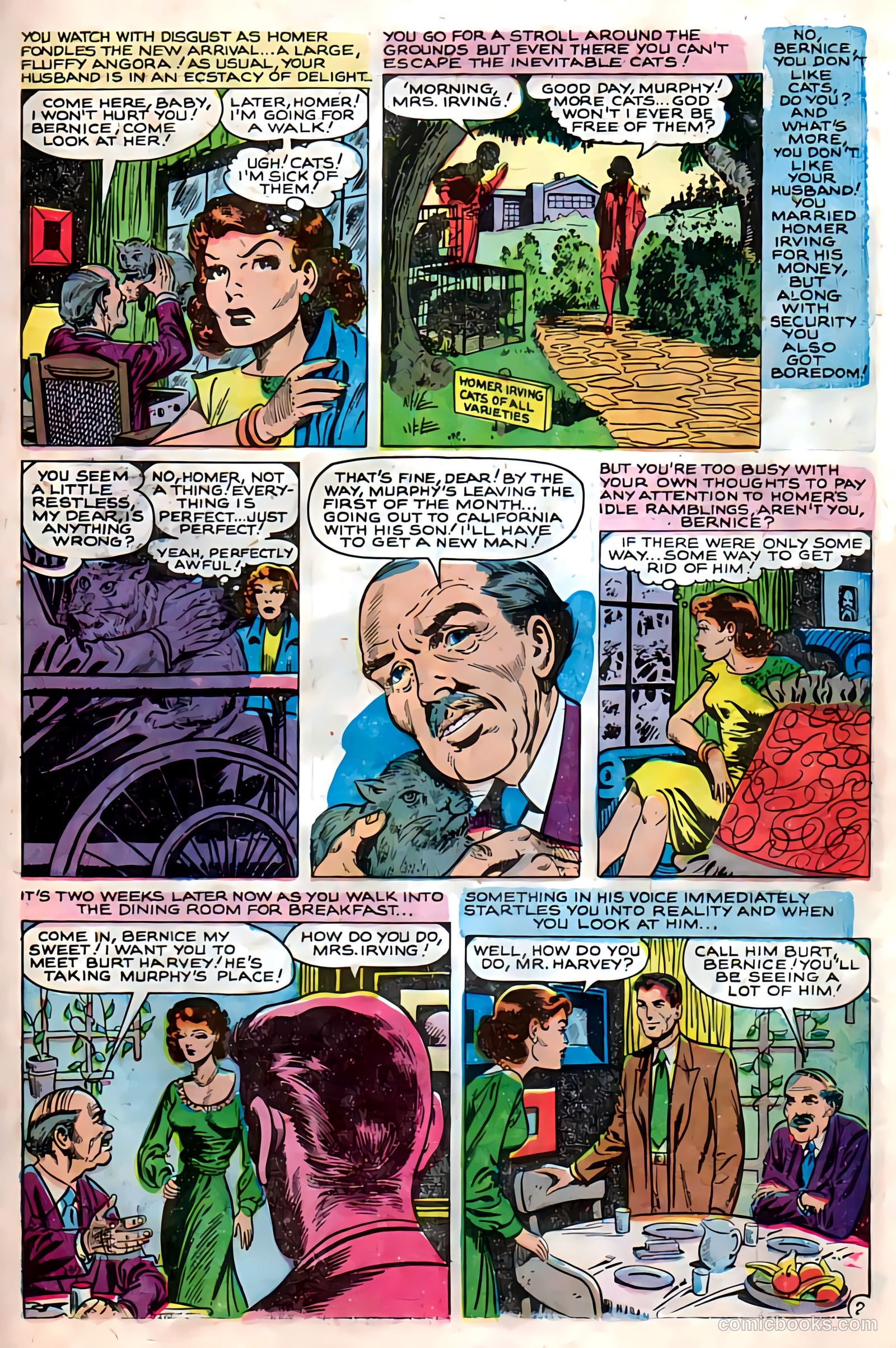 Dark Mysteries #13 — page 27 of 36