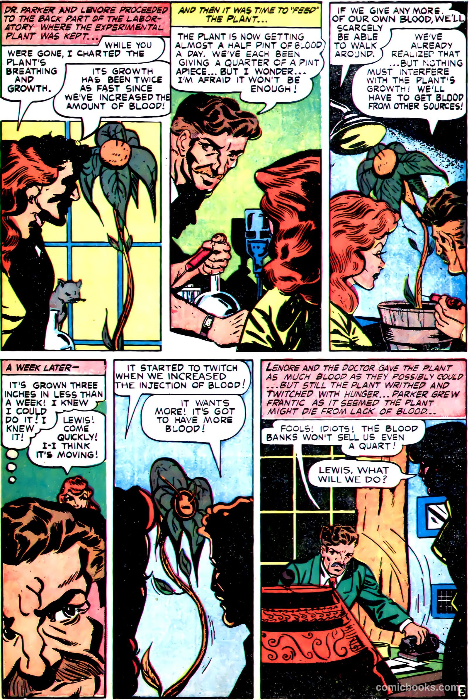 Dark Mysteries #7 — page 5 of 36