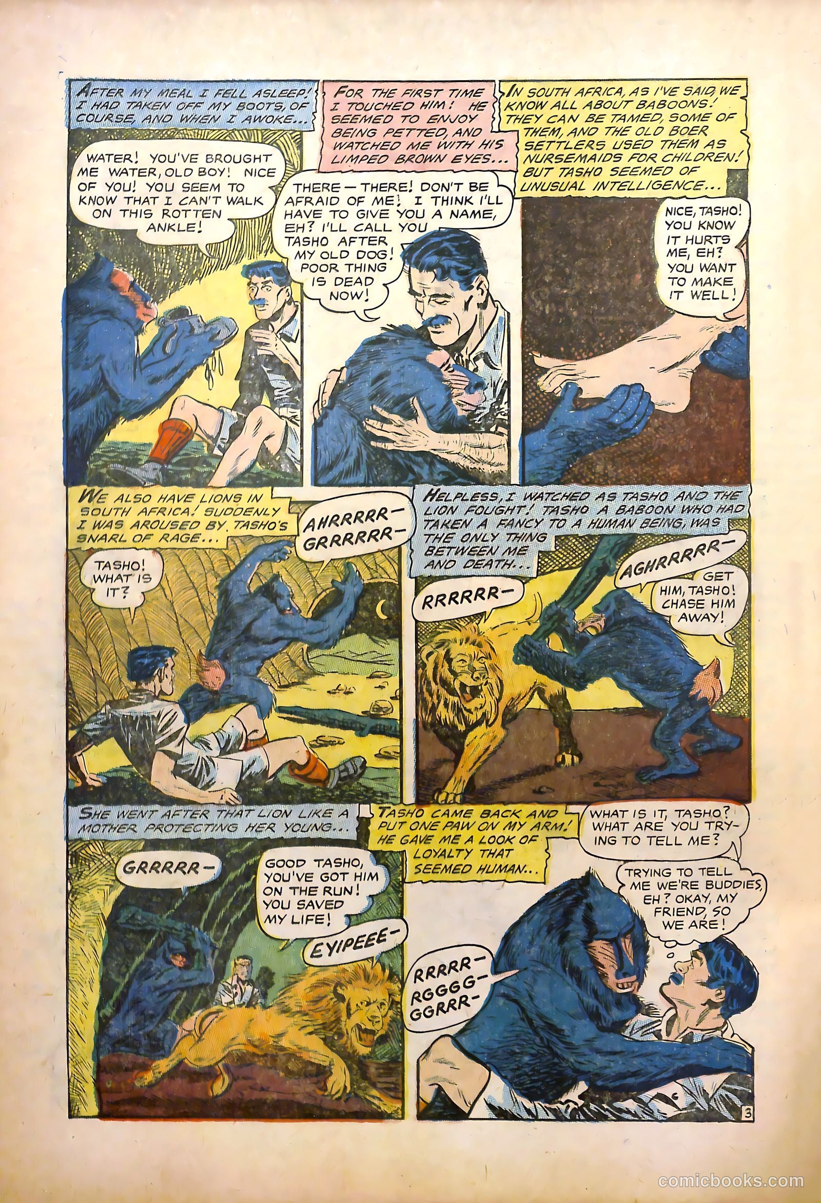 Dark Shadows #1 — page 14 of 36