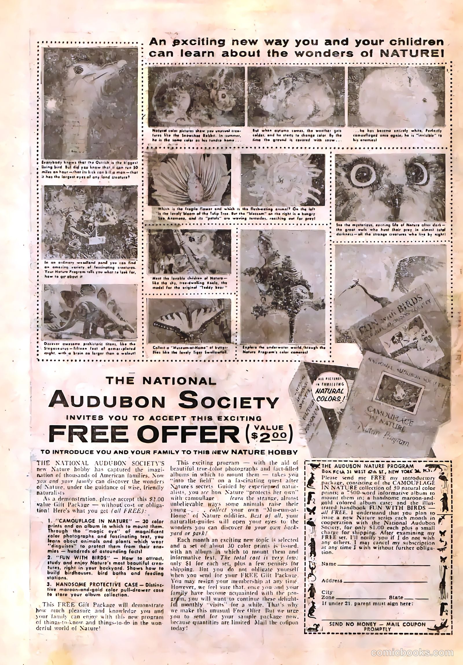 Dark Shadows #2 — page 24 of 36