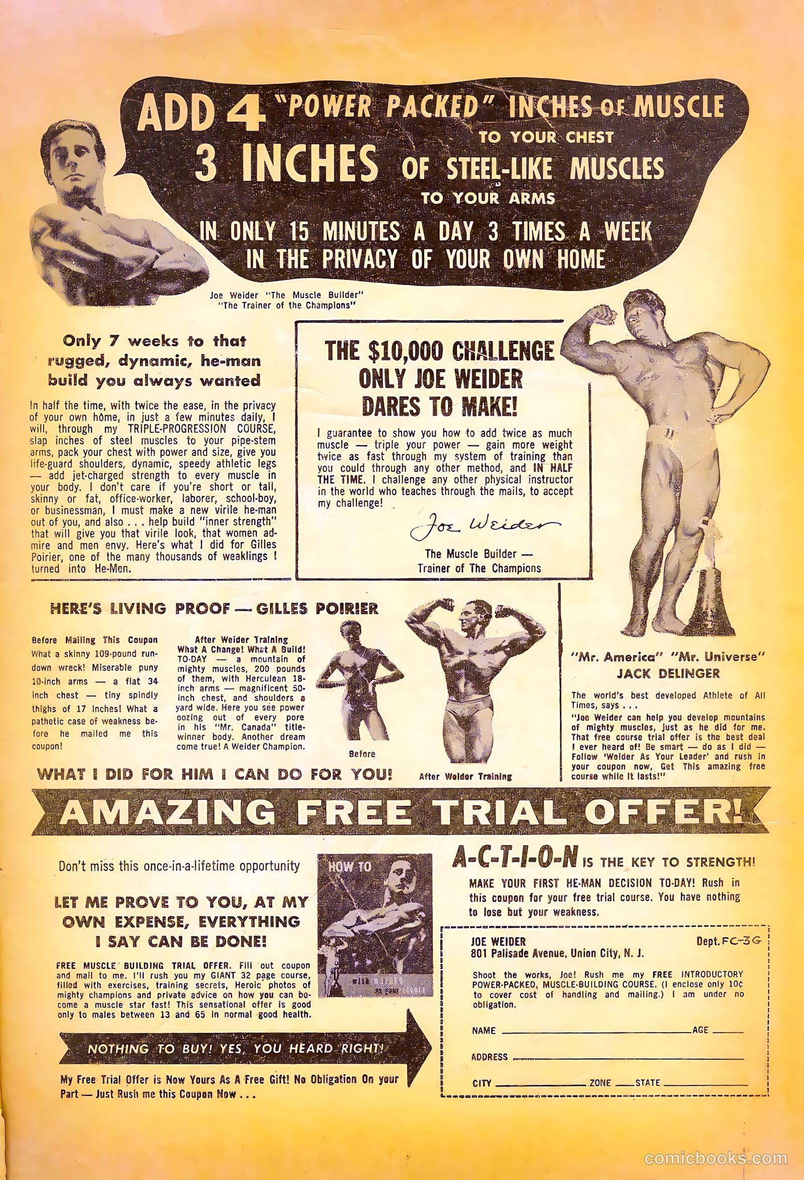 Dark Shadows #3 — page 35 of 36