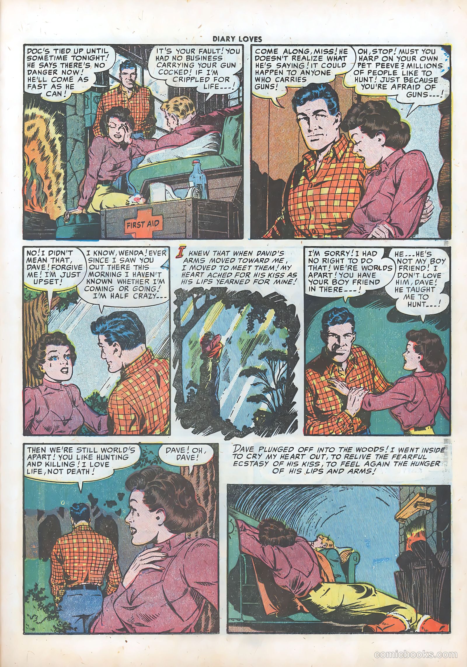 Diary Loves #11 — page 9 of 51