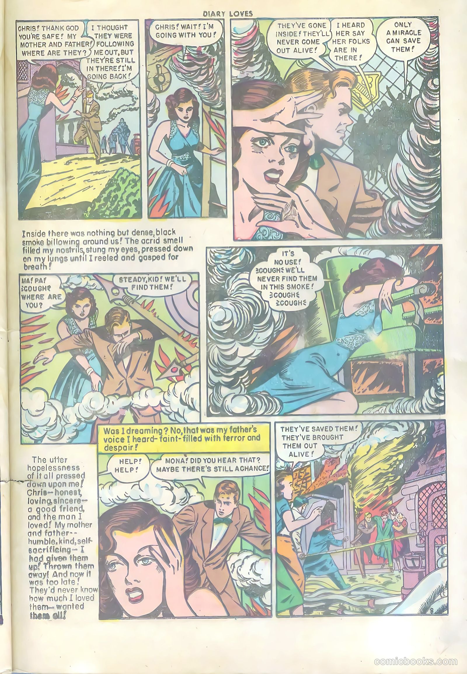 Diary Loves #13 — page 33 of 36