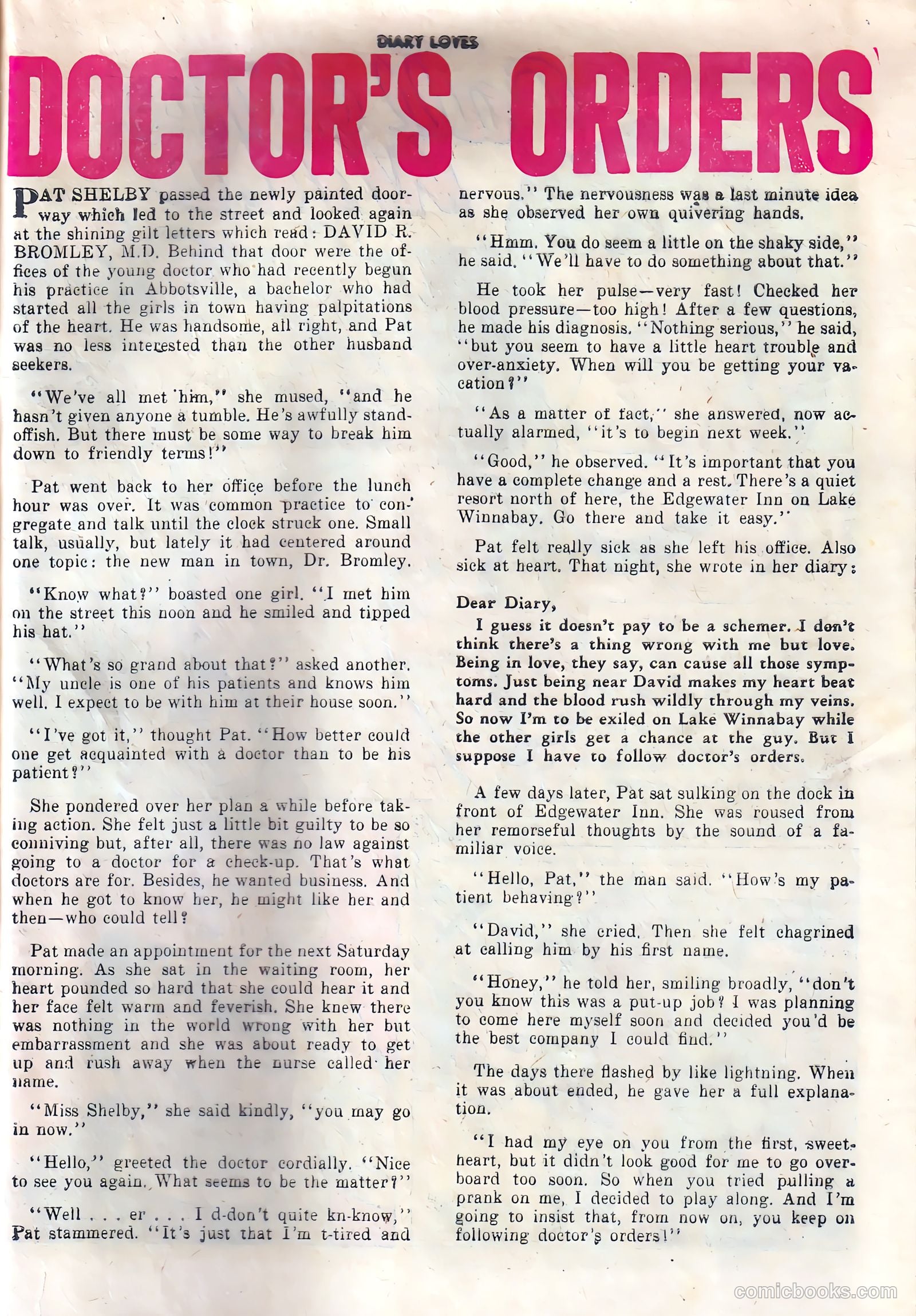 Diary Loves #15 — page 25 of 36
