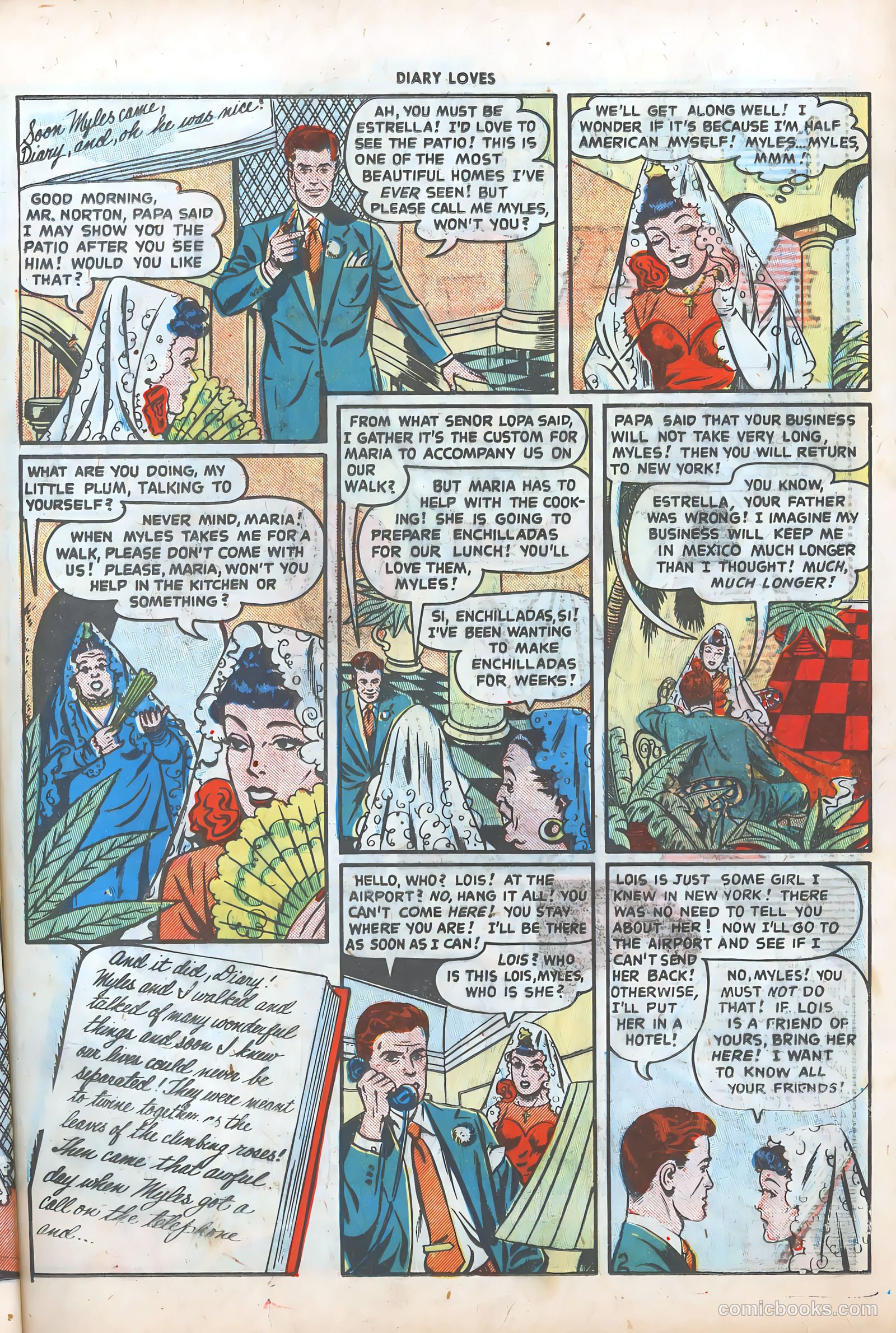 Diary Loves #2 — page 13 of 36