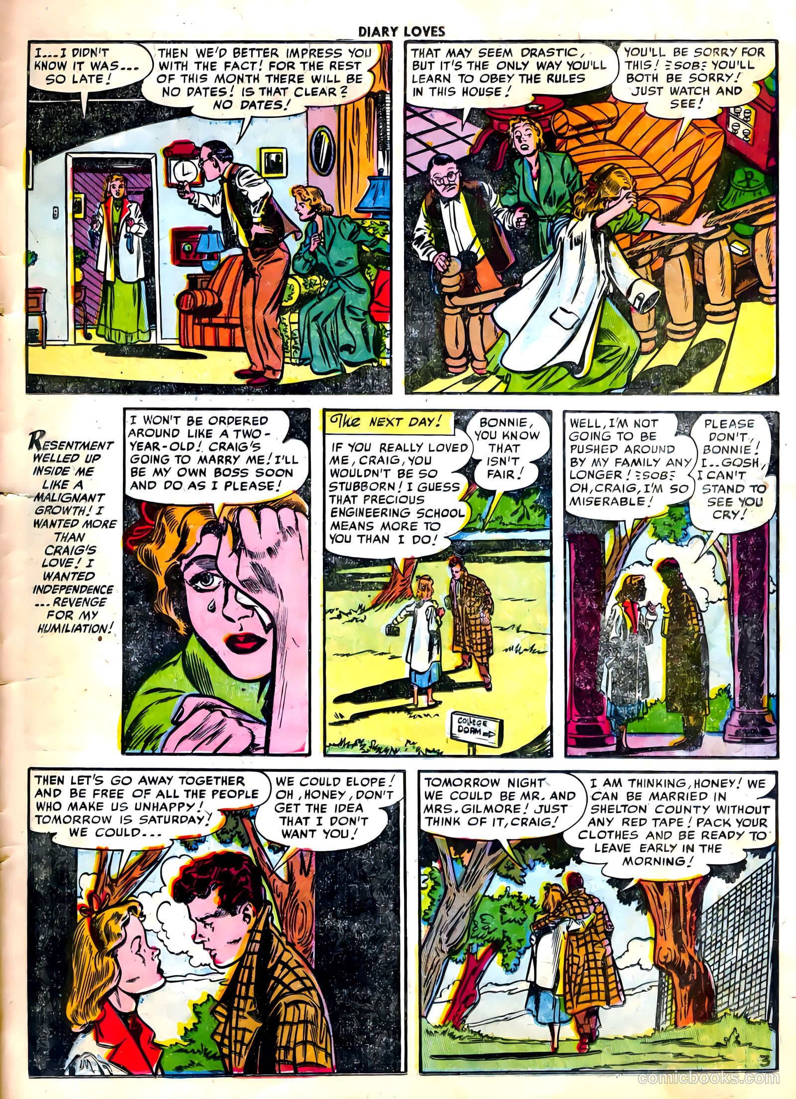 Diary Loves #22 — page 29 of 36