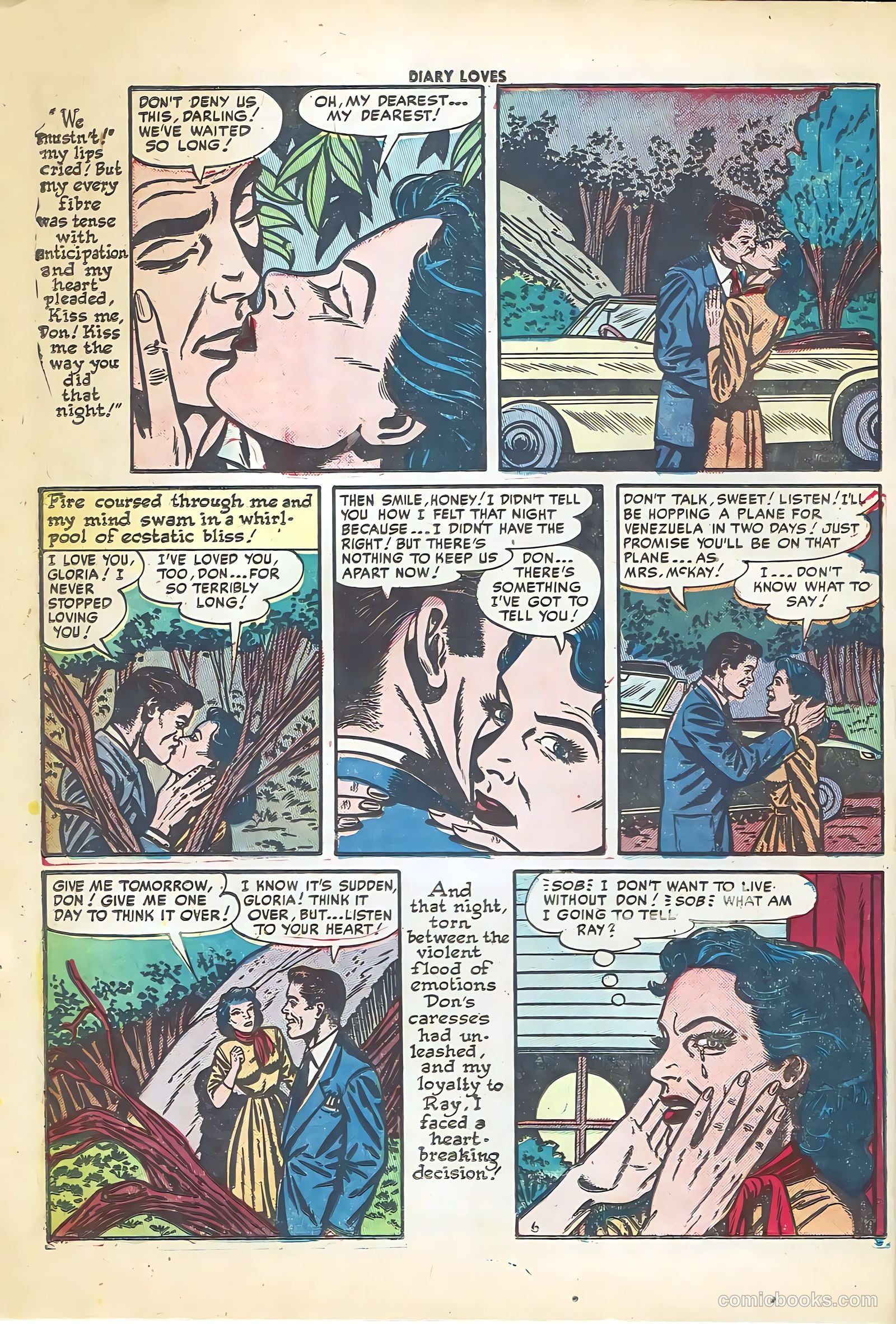 Diary Loves #26 — page 9 of 37
