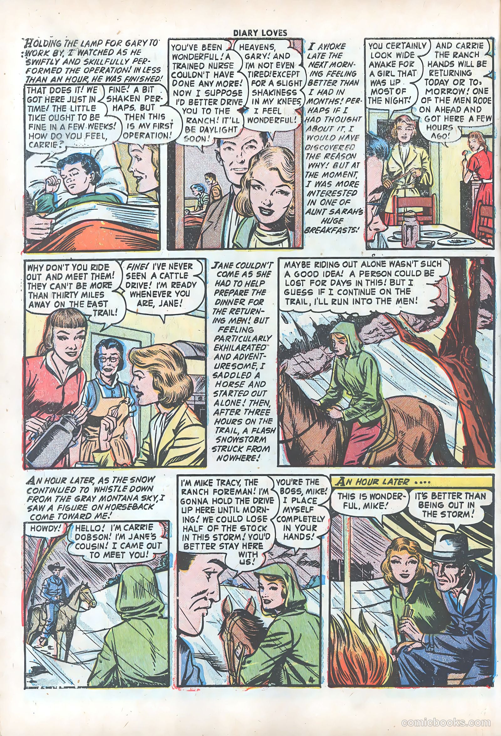 Diary Loves #28 — page 31 of 37