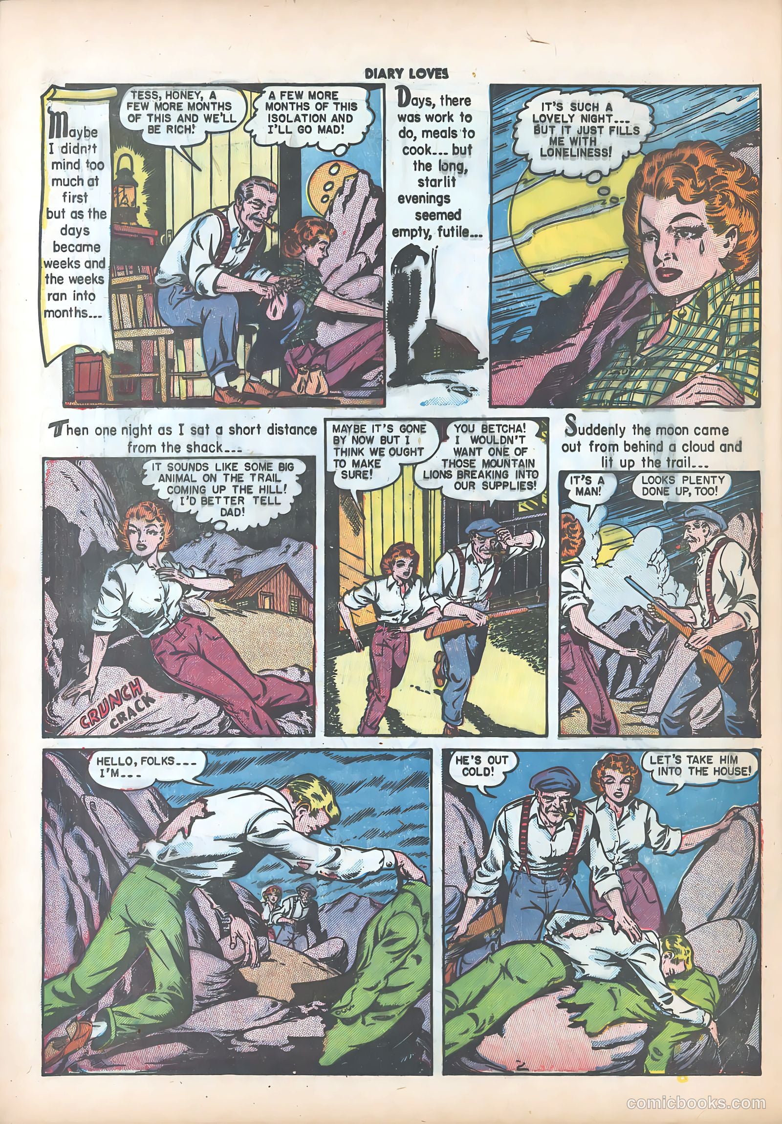 Diary Loves #8 — page 41 of 51