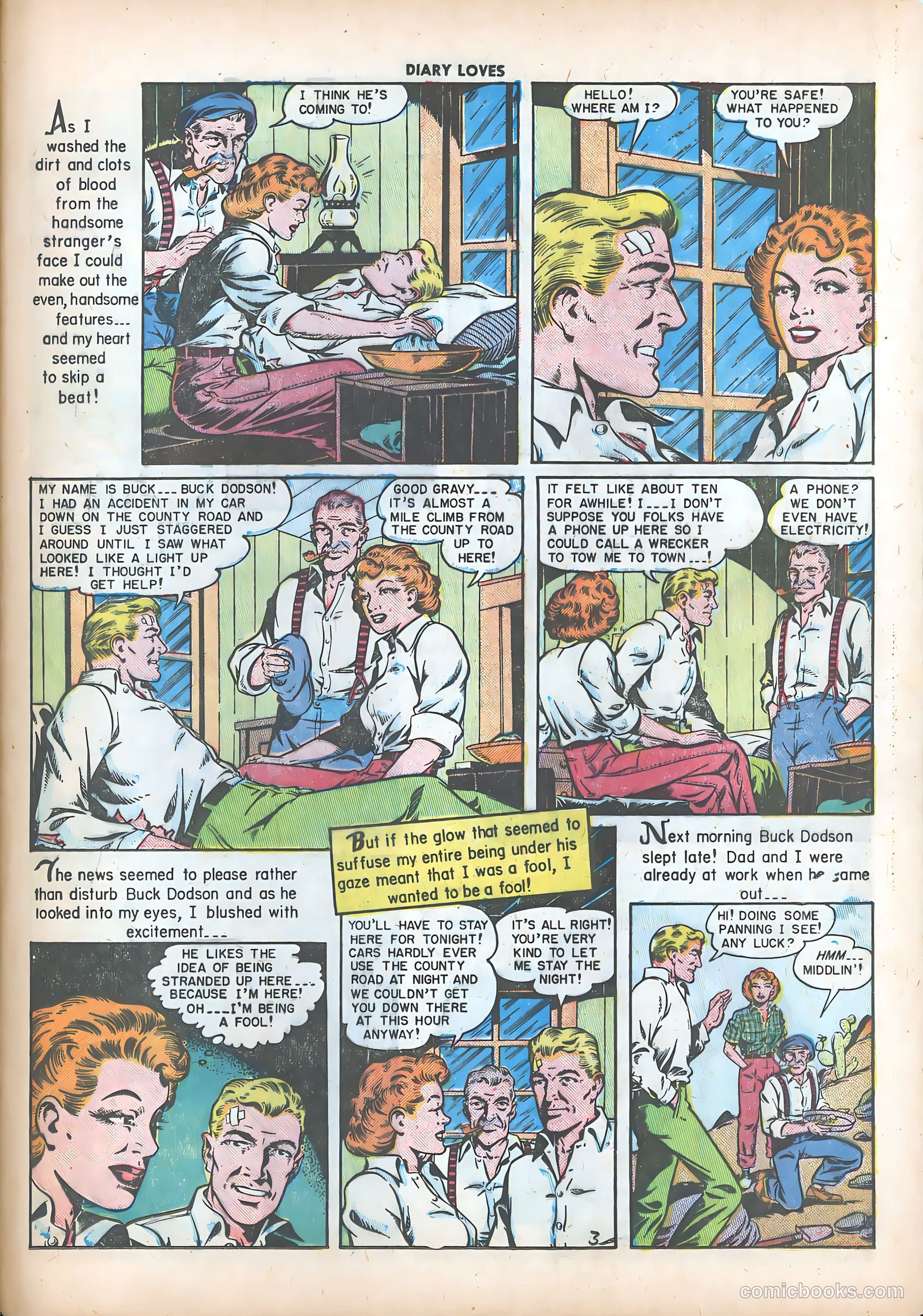 Diary Loves #8 — page 42 of 51