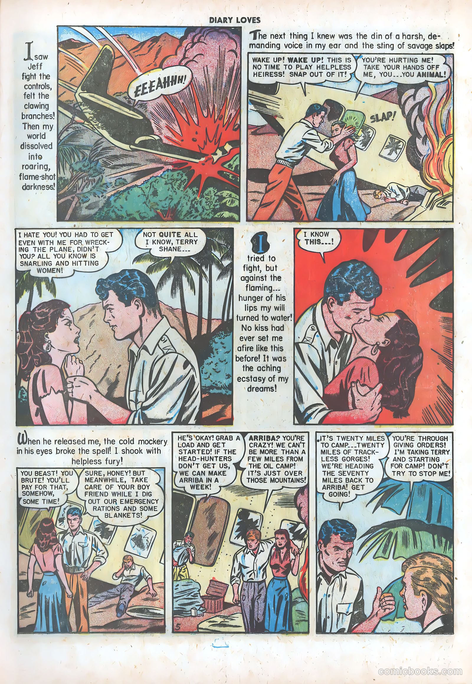 Diary Loves #9 — page 7 of 51