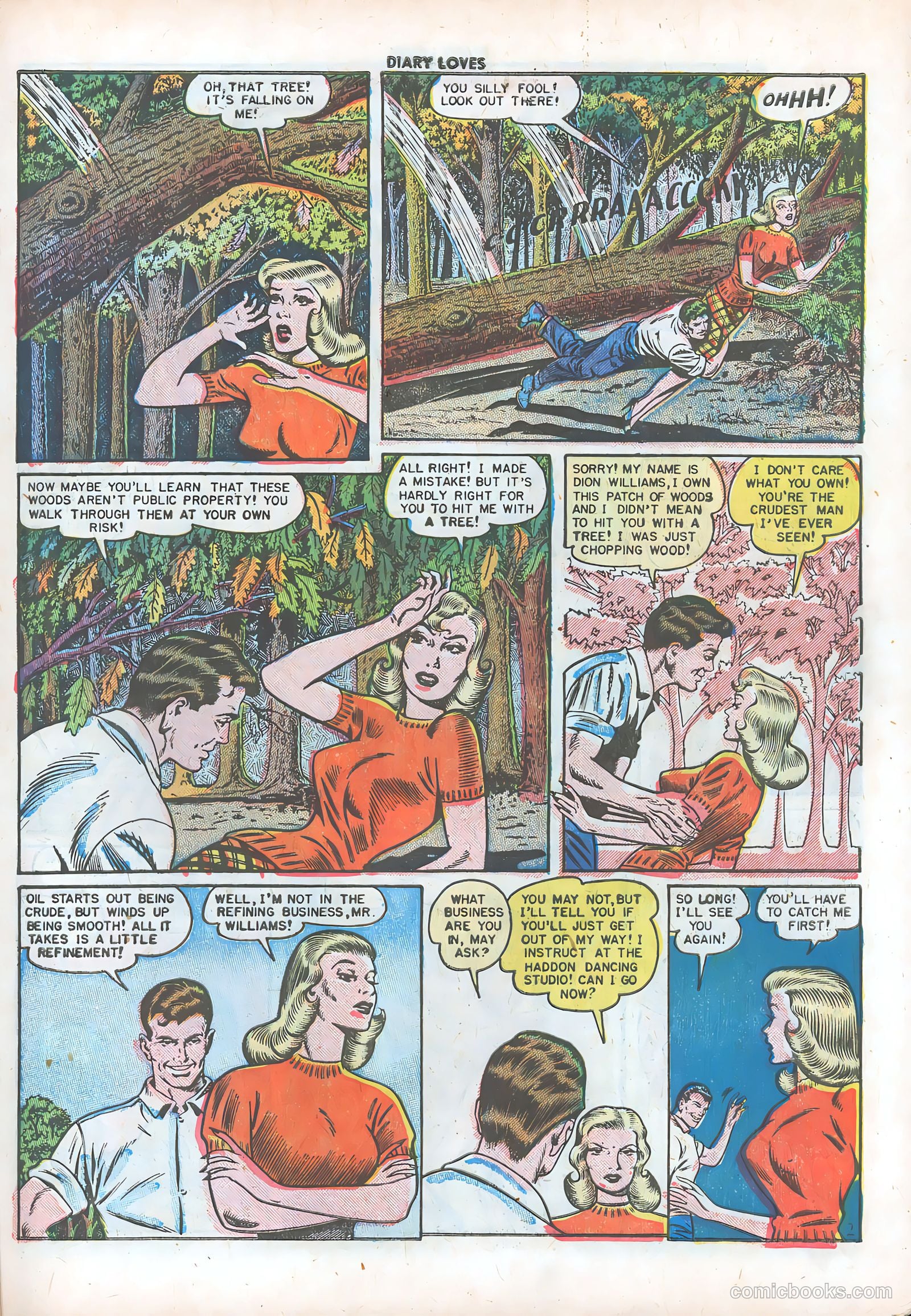 Diary Loves #9 — page 28 of 51