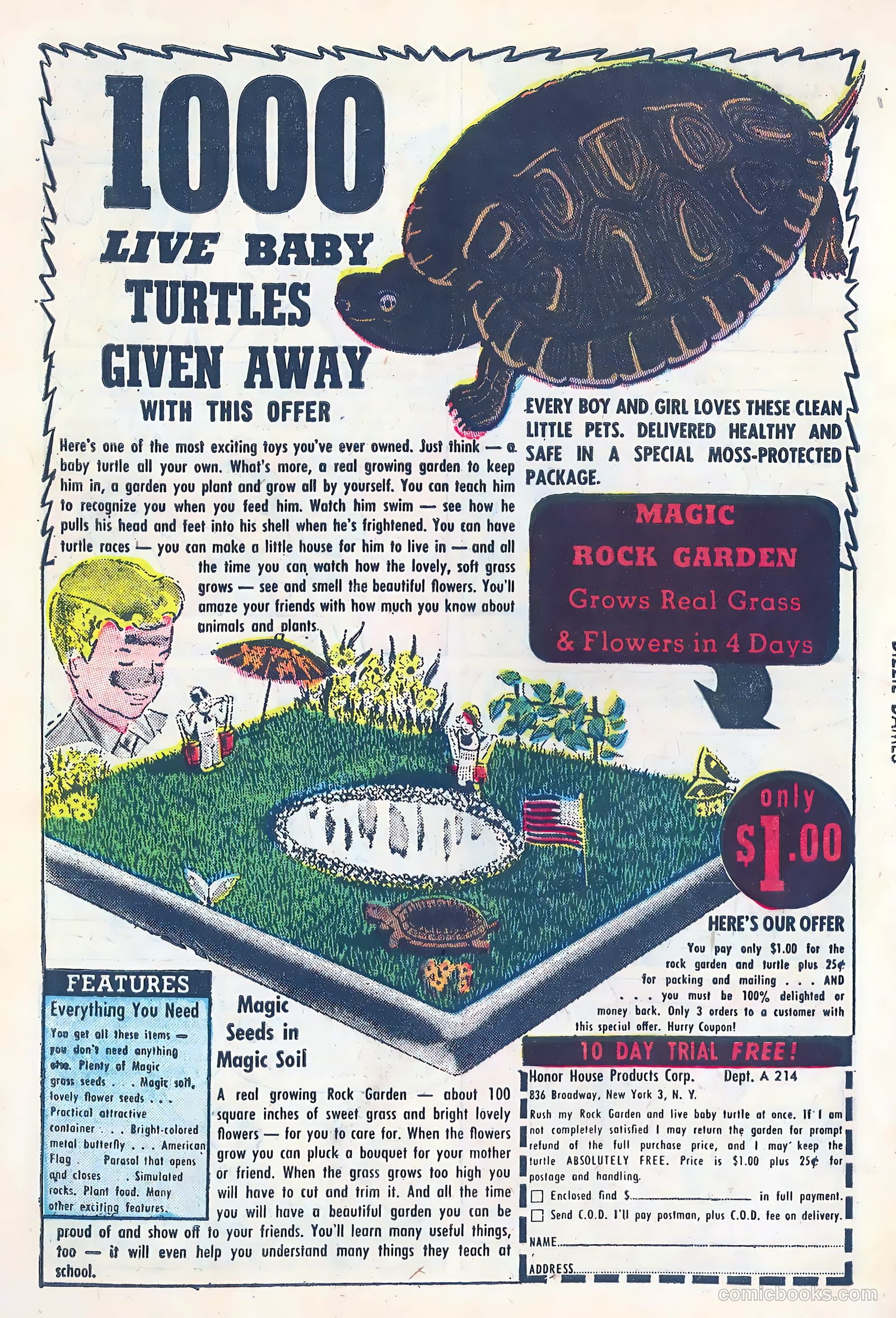 Dizzy Dames #5 — page 34 of 36