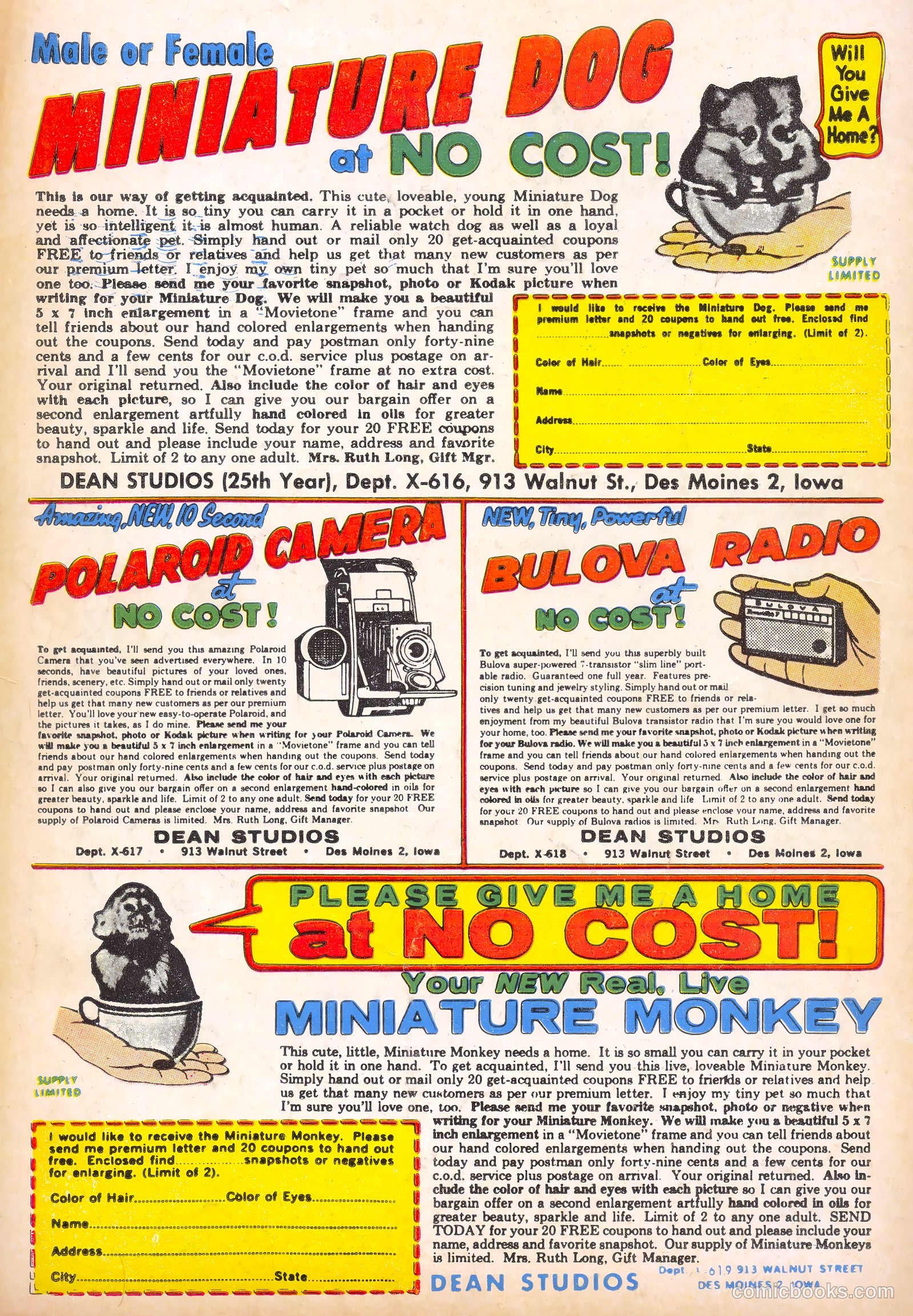 Doctor Tom Brent, Young Intern #4 — page 36 of 36