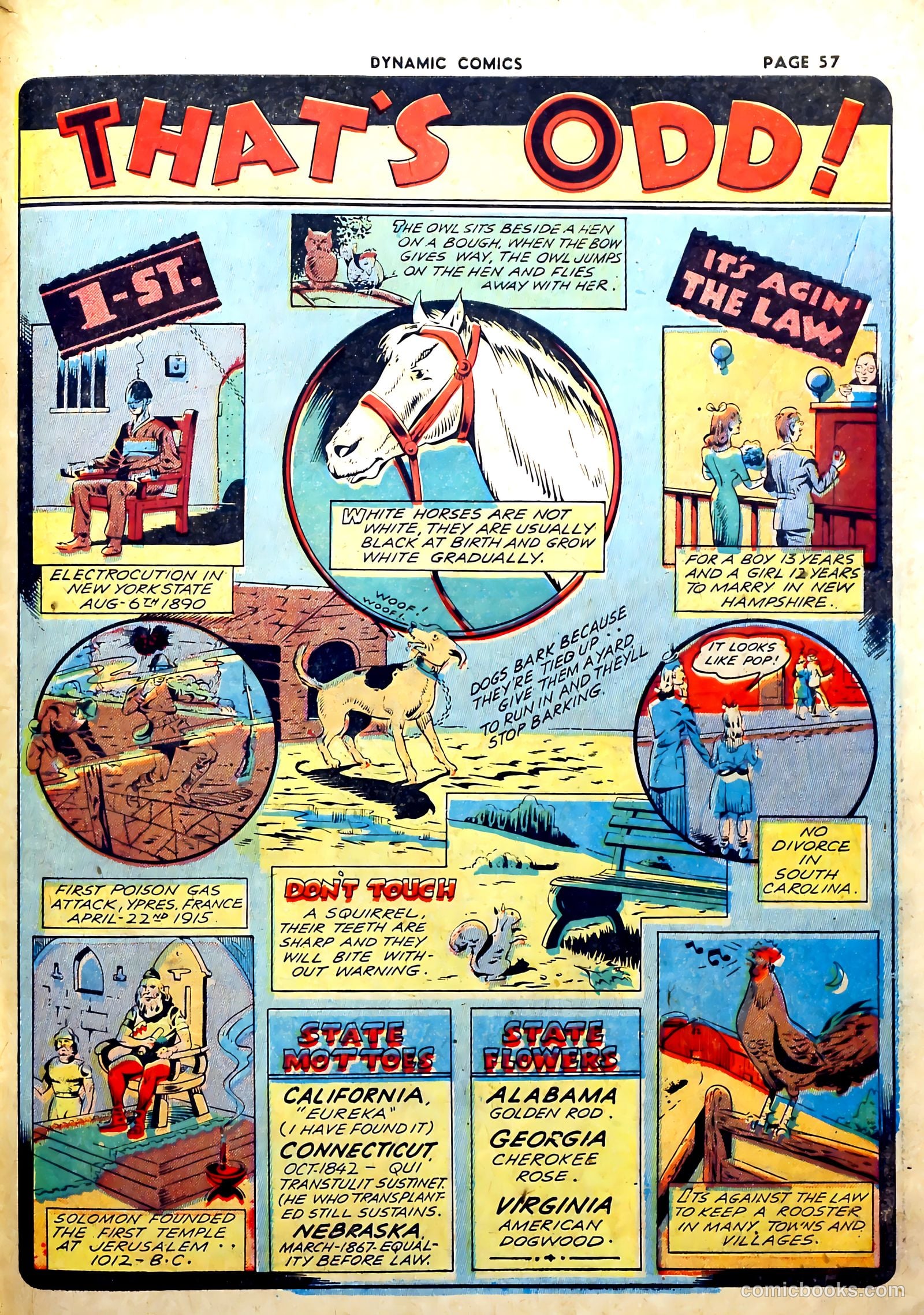 Dynamic Comics #2 — page 59 of 68