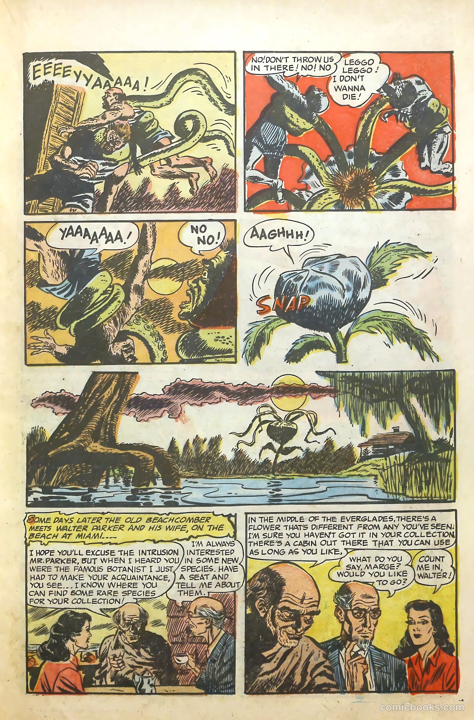 Eerie Tales #11 — page 15 of 36