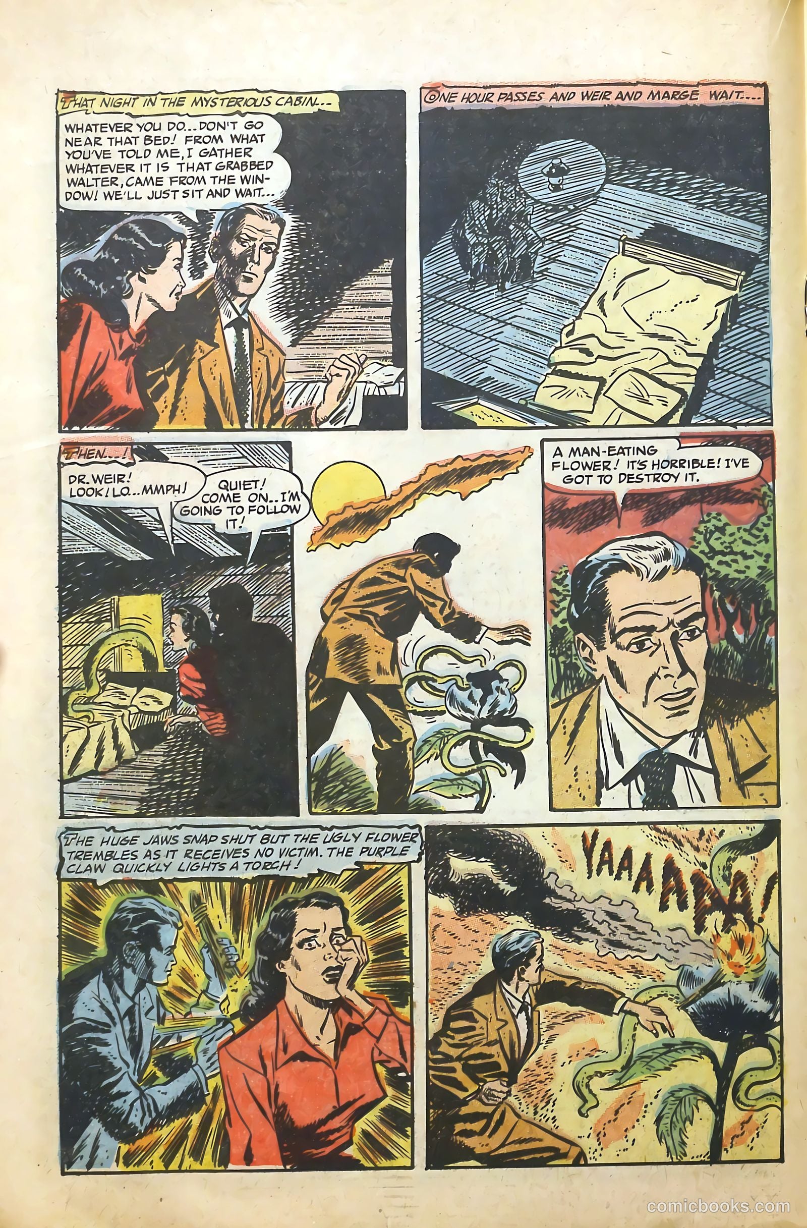 Eerie Tales #11 — page 18 of 36