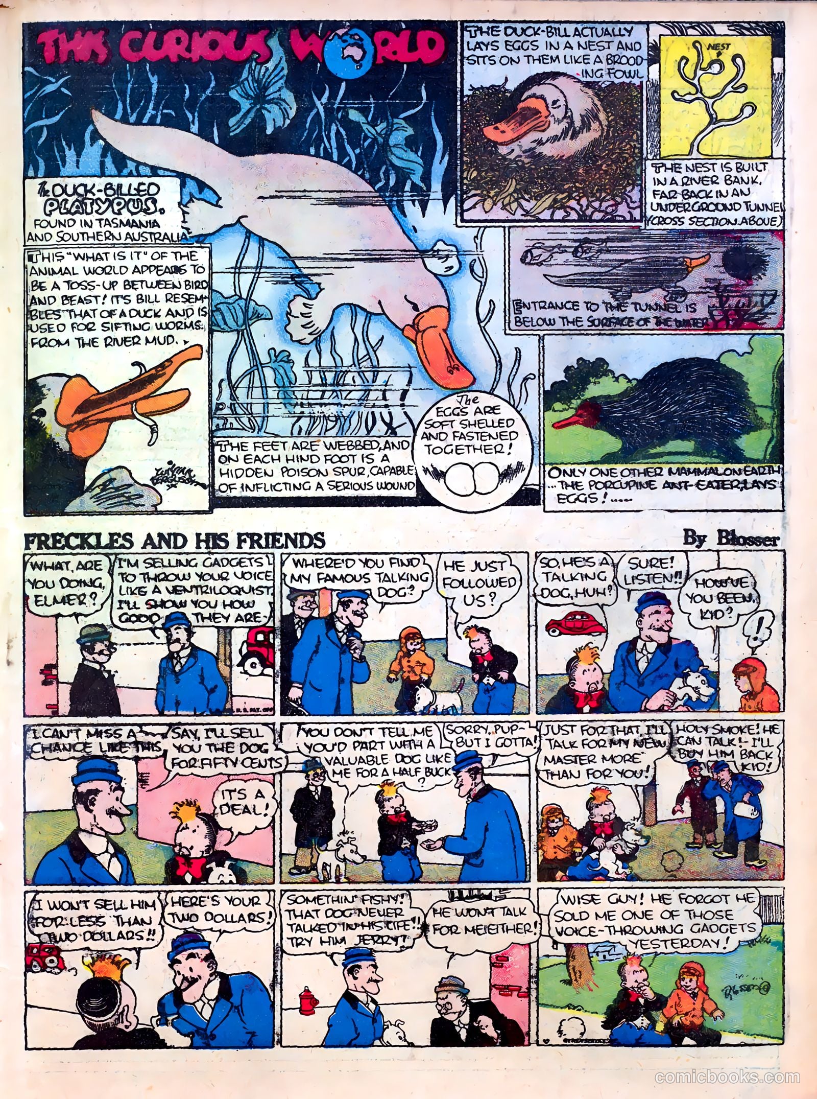 Famous Funnies #22 — page 31 of 64