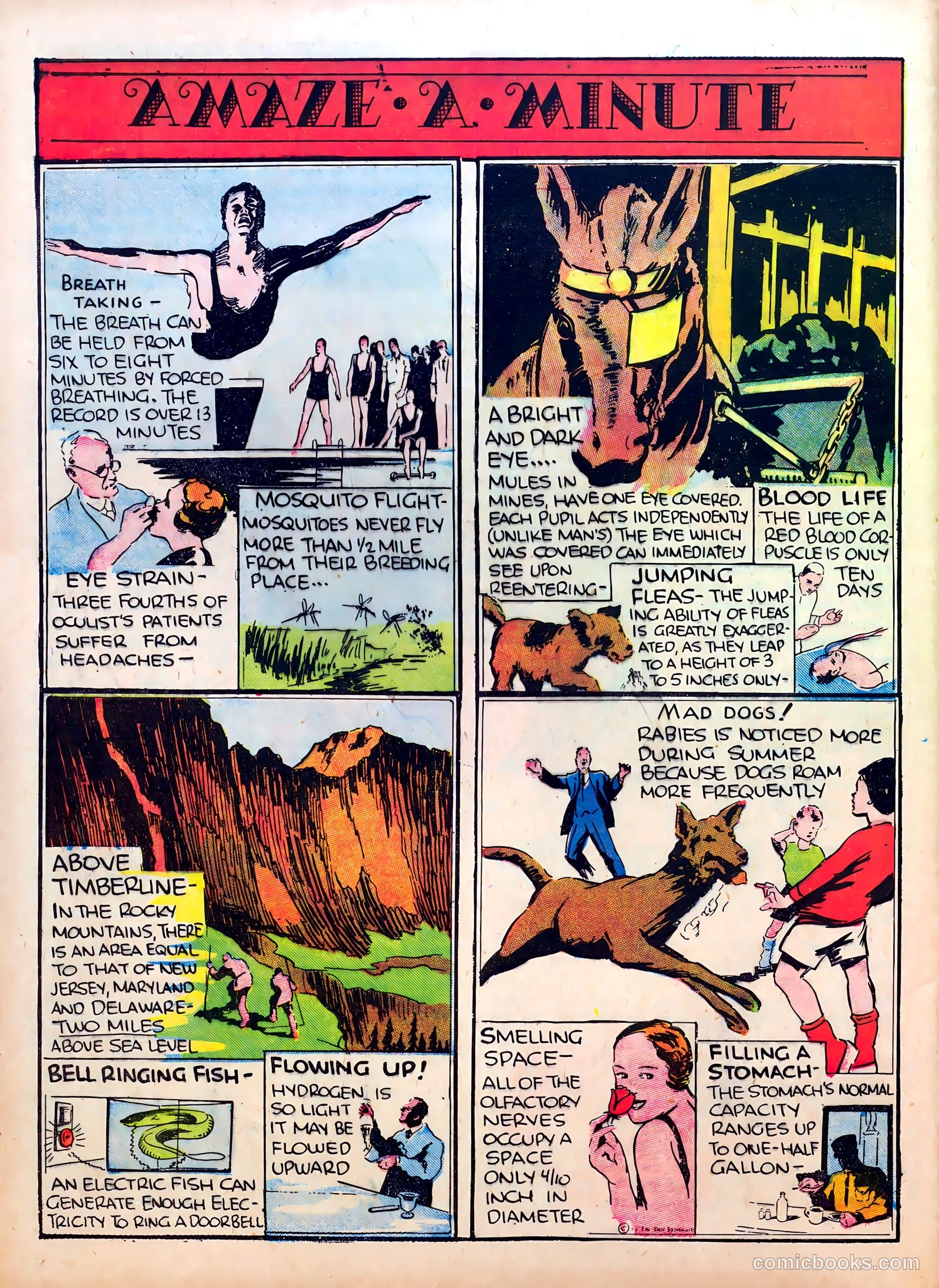Famous Funnies #23 — page 47 of 63