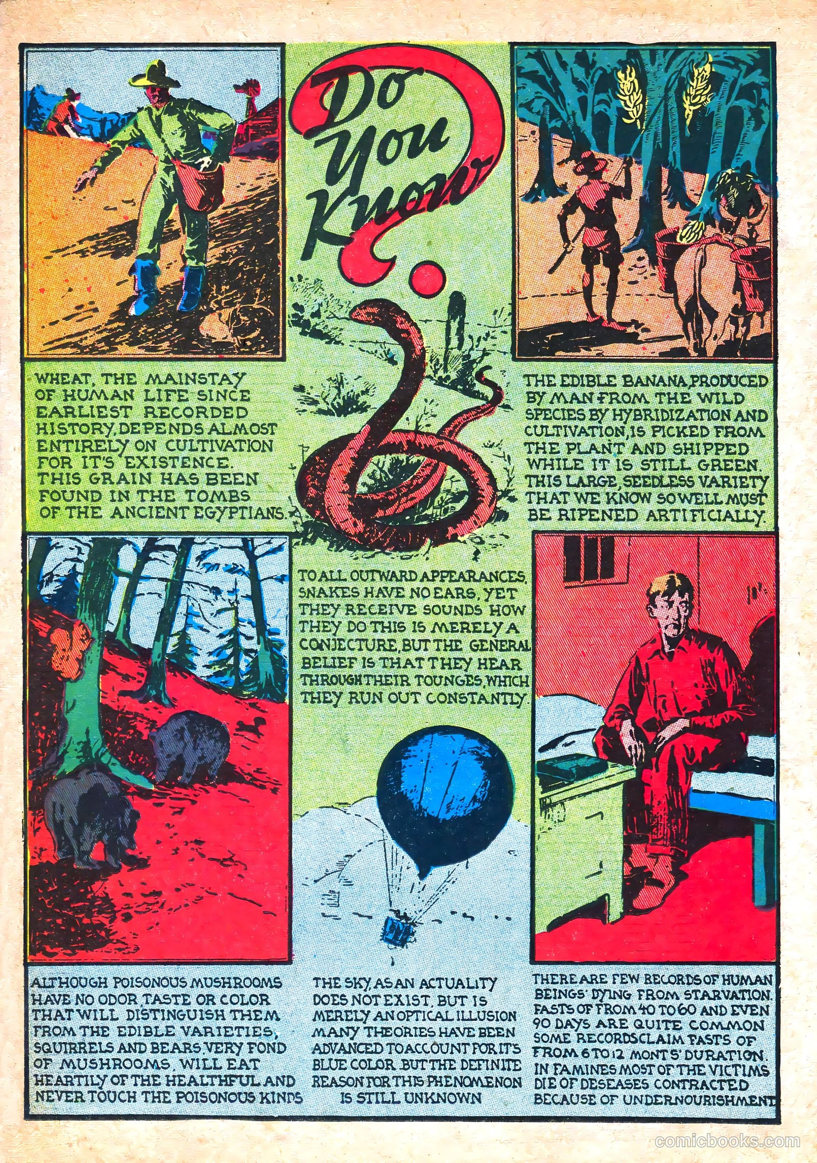 Fantoman #3 — page 66 of 68