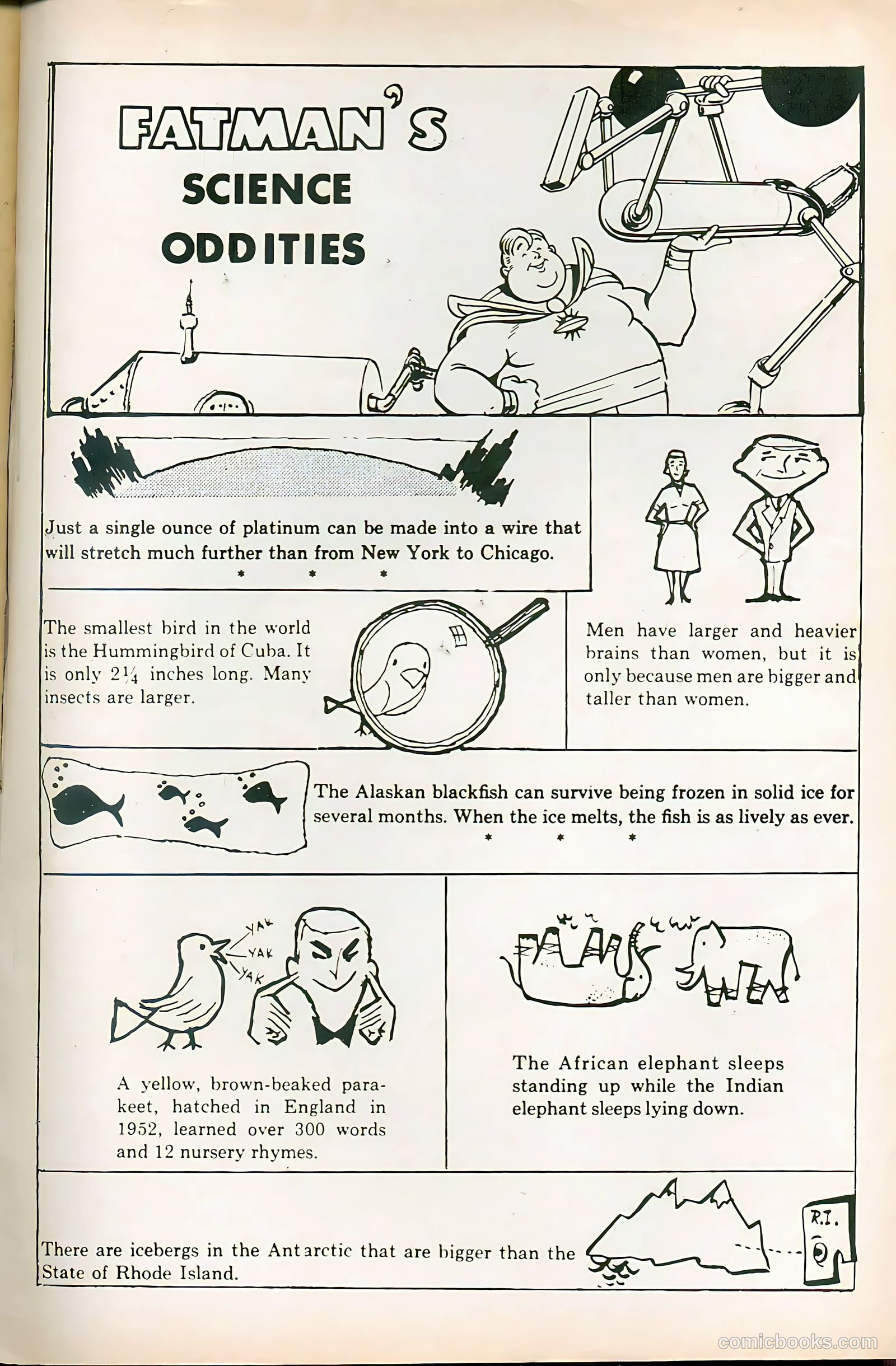 Fatman the Human Flying Saucer #3 — page 67 of 68
