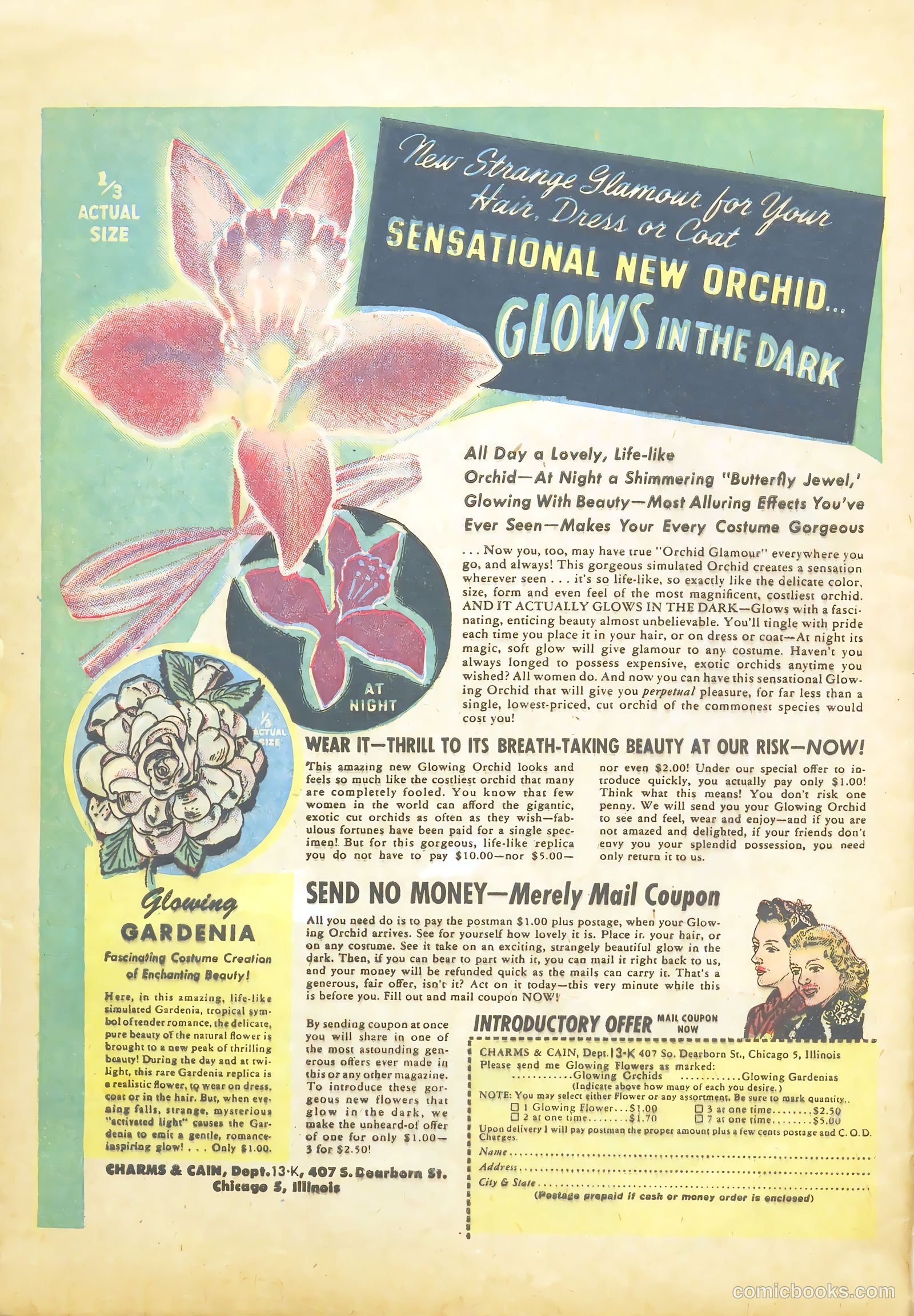 Fawcett's Funny Animals #21 — page 42 of 44
