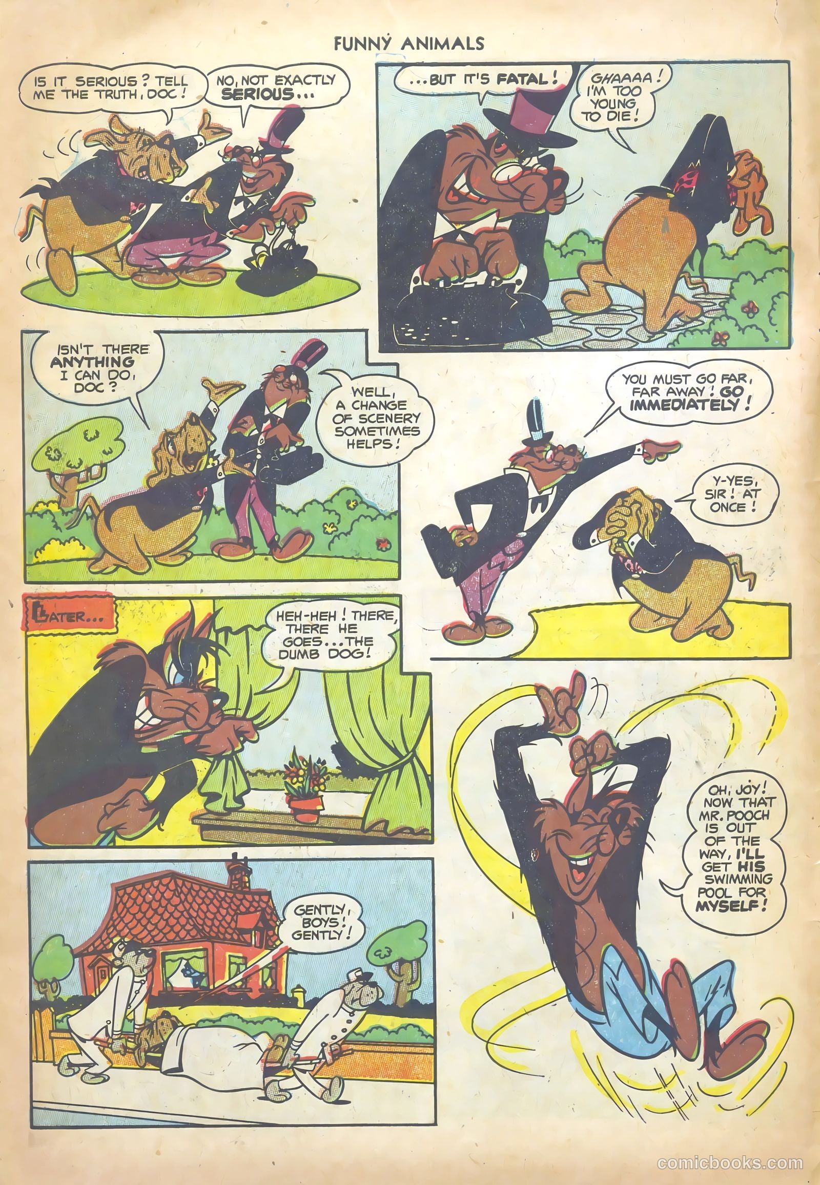 Fawcett's Funny Animals #82 — page 6 of 36