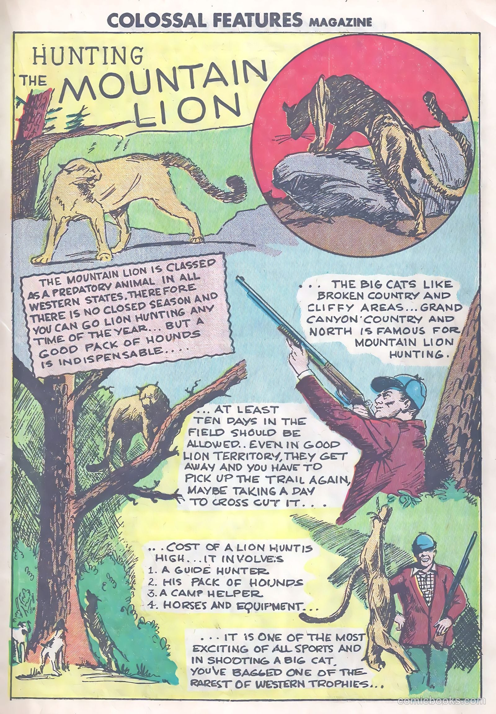 Feature Stories Magazine #1 — page 21 of 36