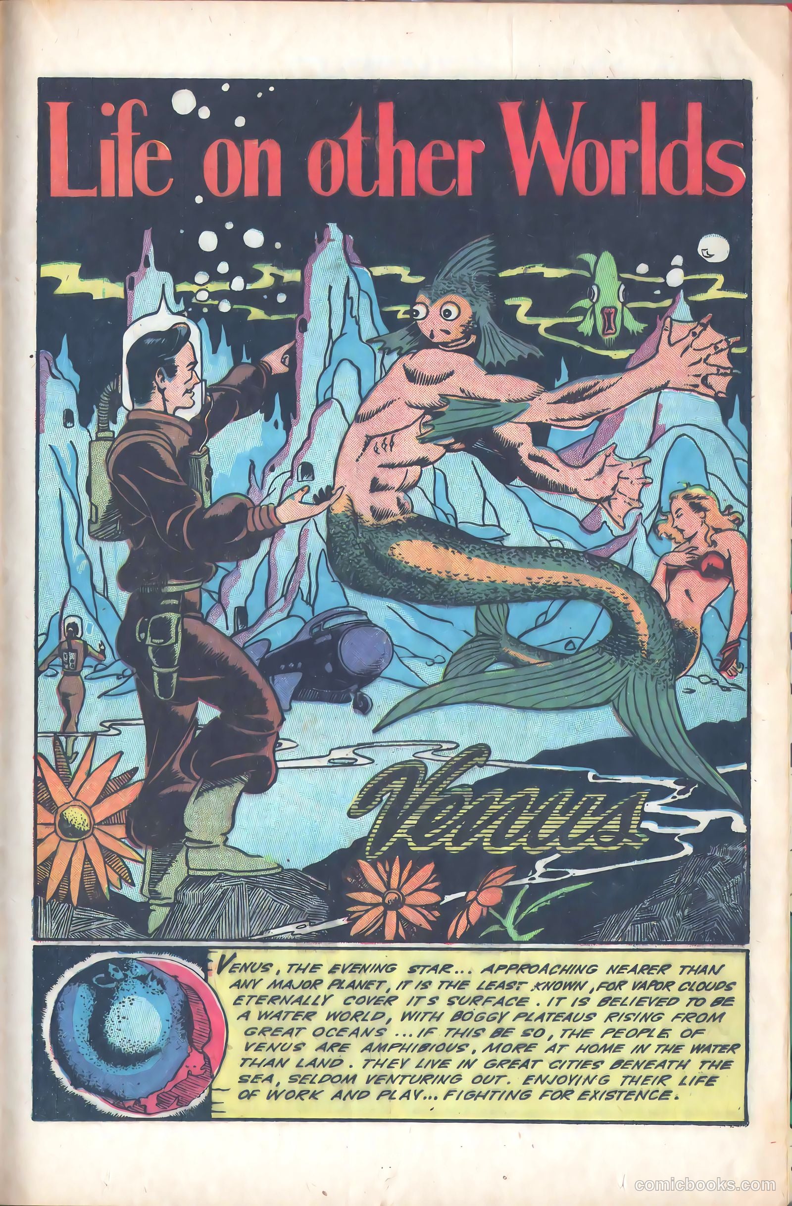 Fight Comics #80 — page 21 of 36
